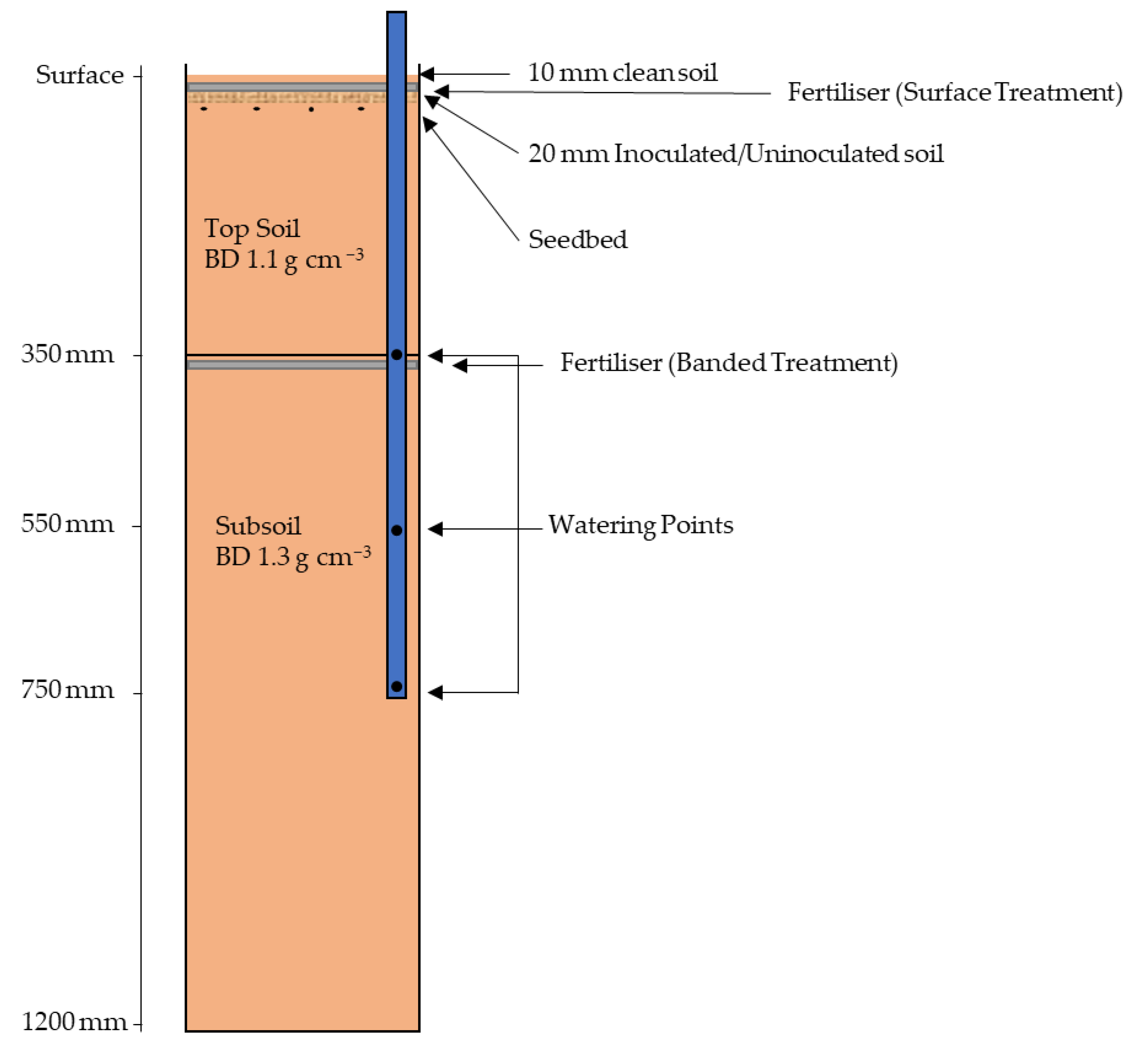 Plants 12 00533 g008