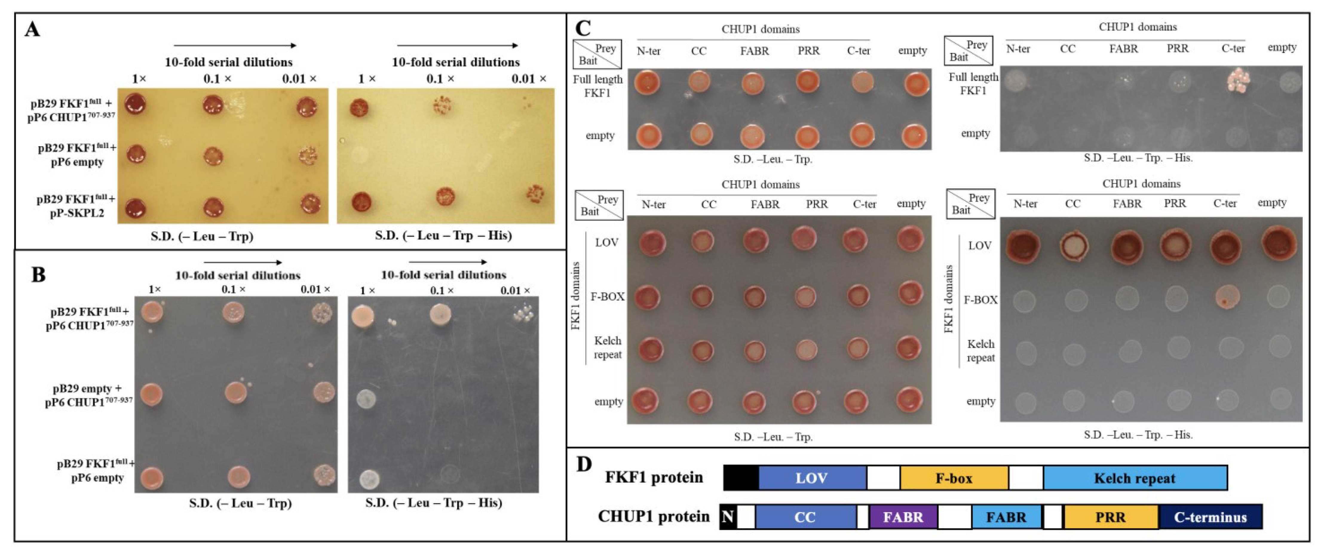 Plants 12 00542 g001 Plants 12 00542 g001
