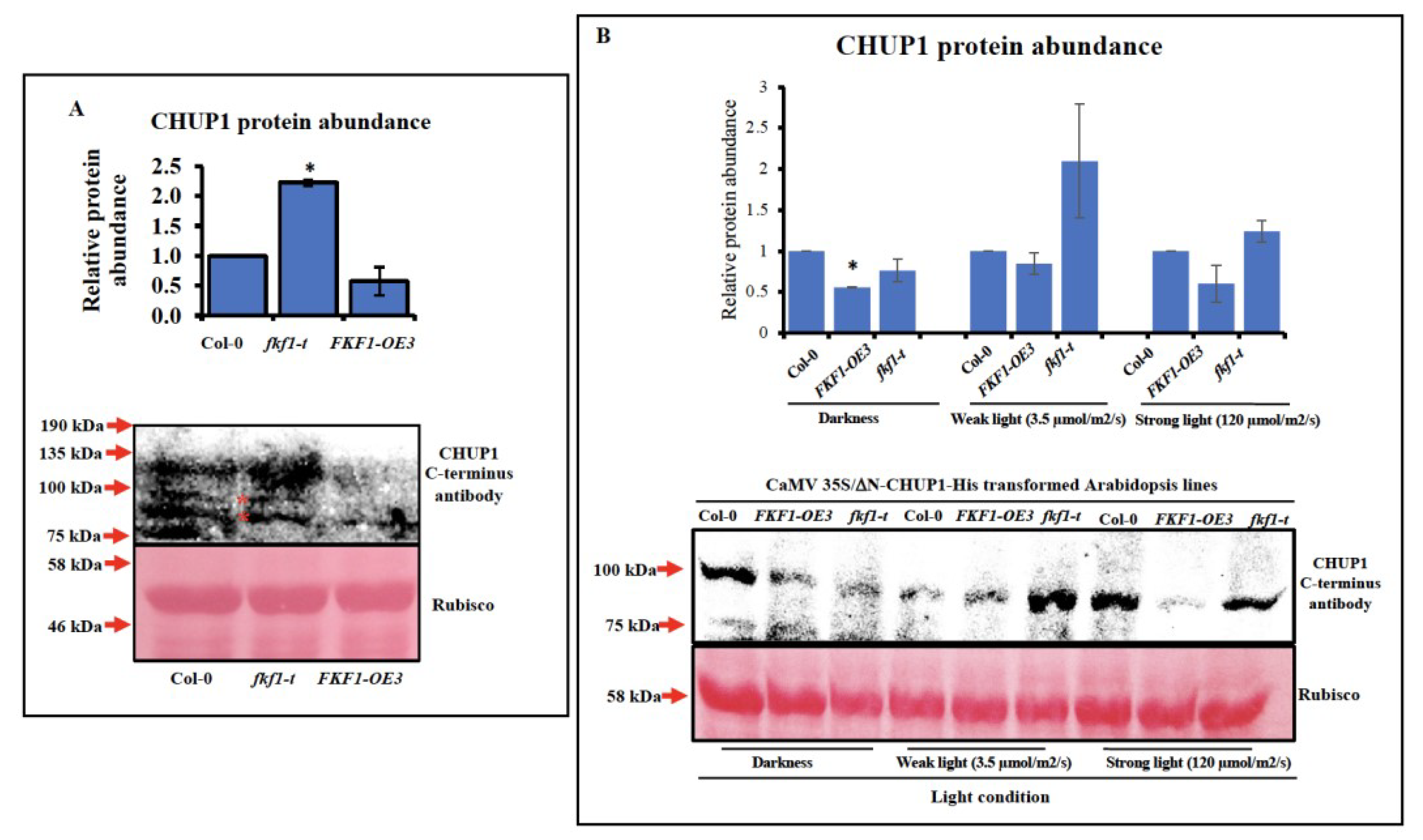 Plants 12 00542 g005 Plants 12 00542 g005