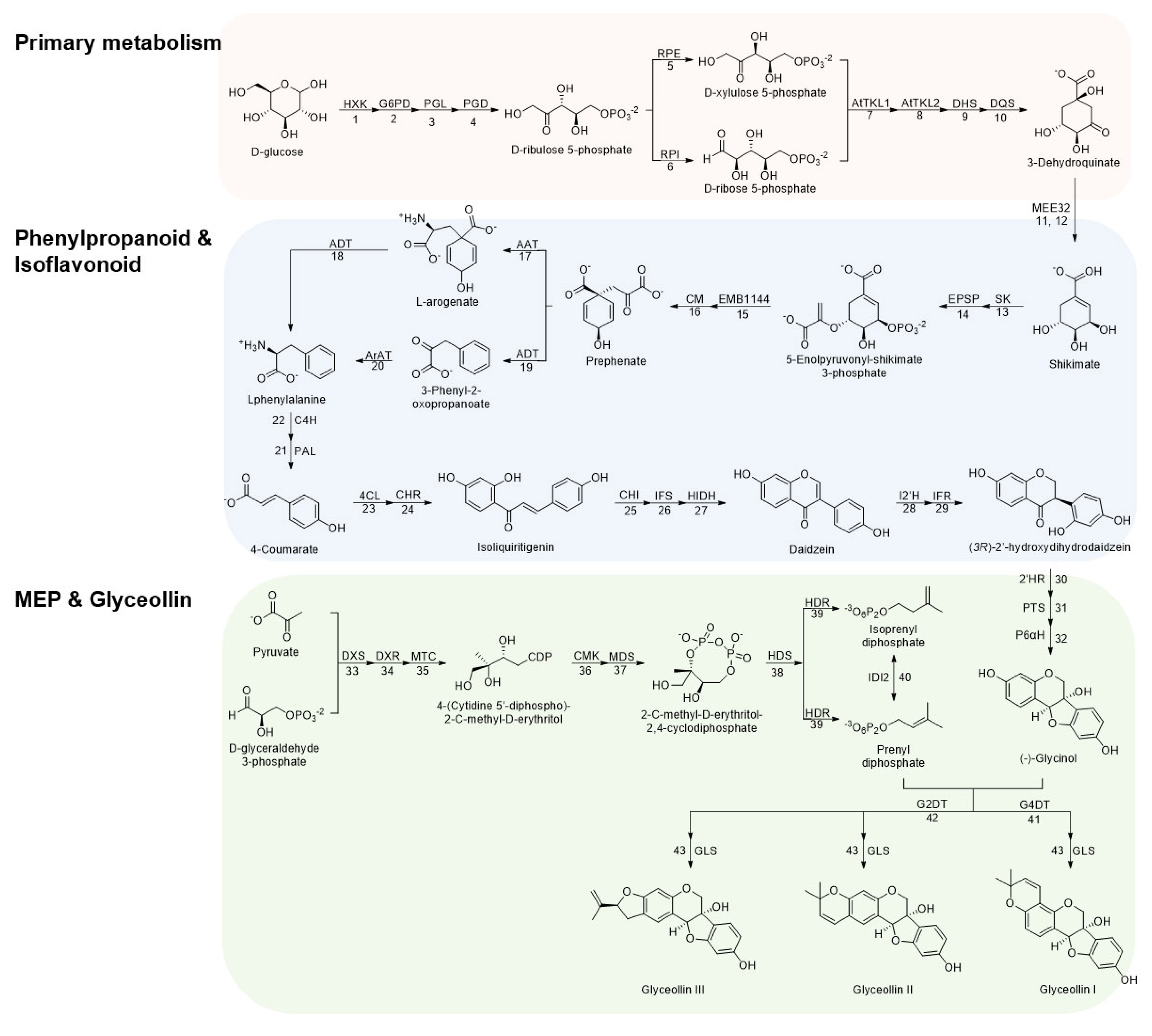 Plants 12 00545 g001