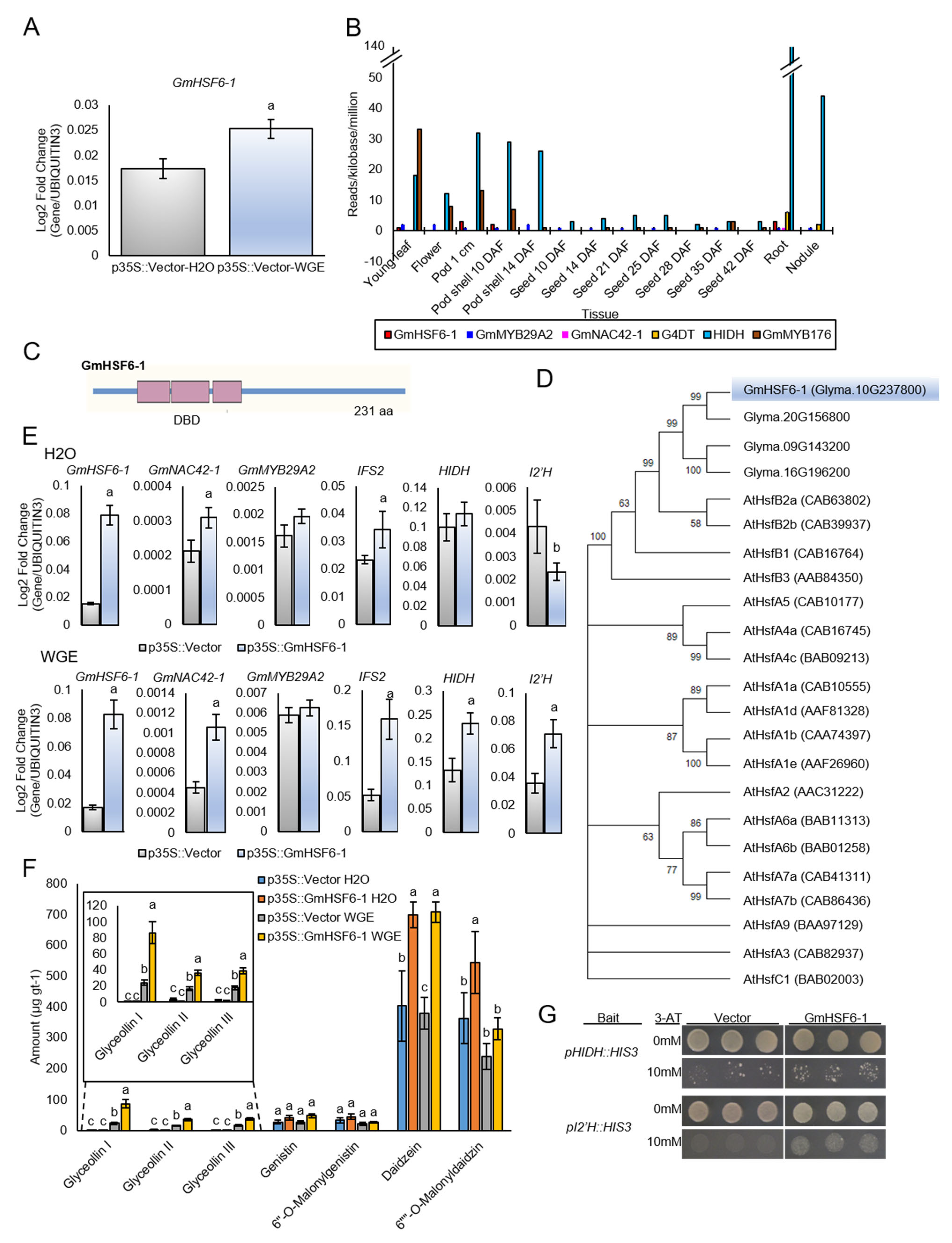 Plants 12 00545 g005