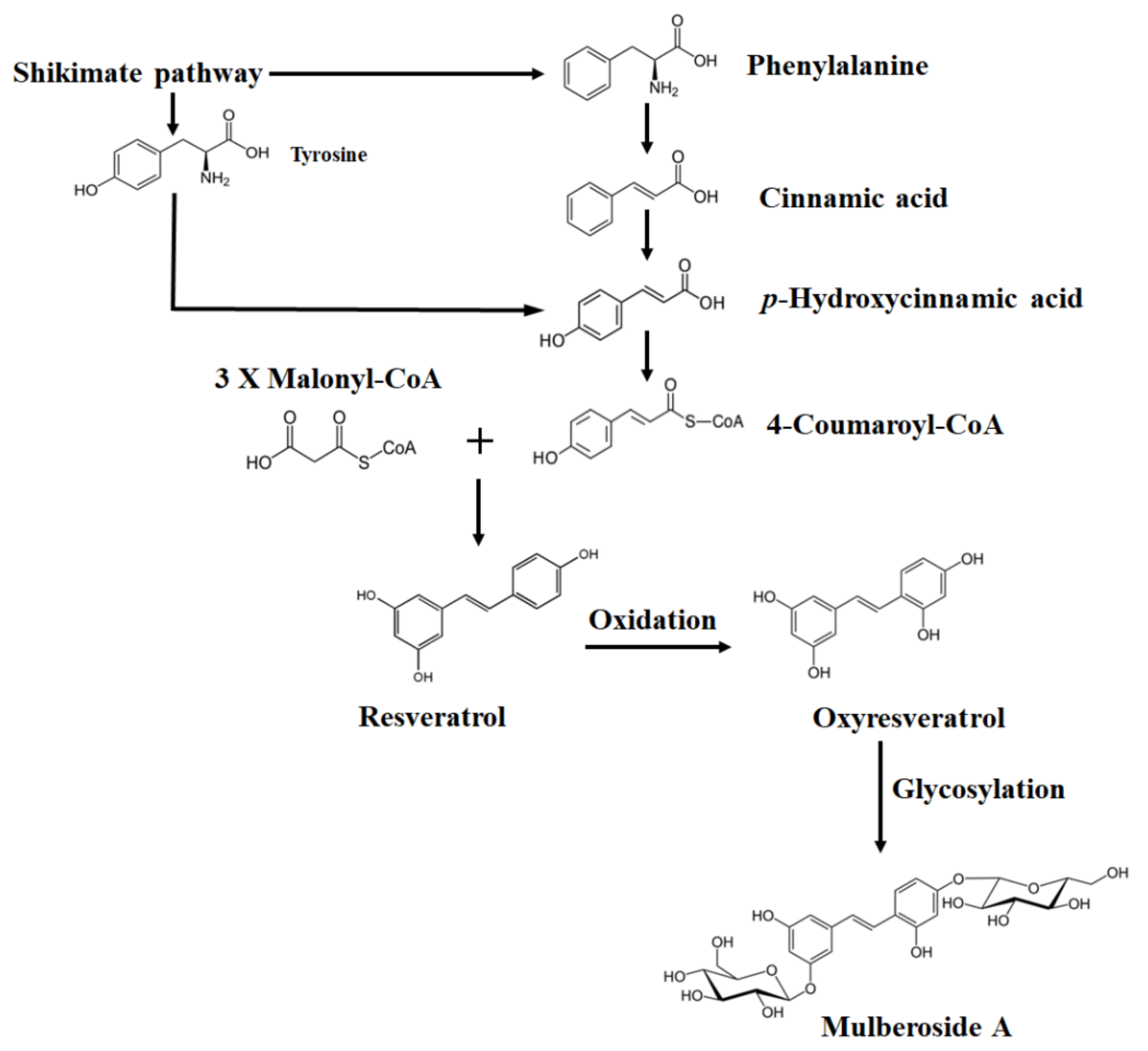 Plants 12 00546 g001