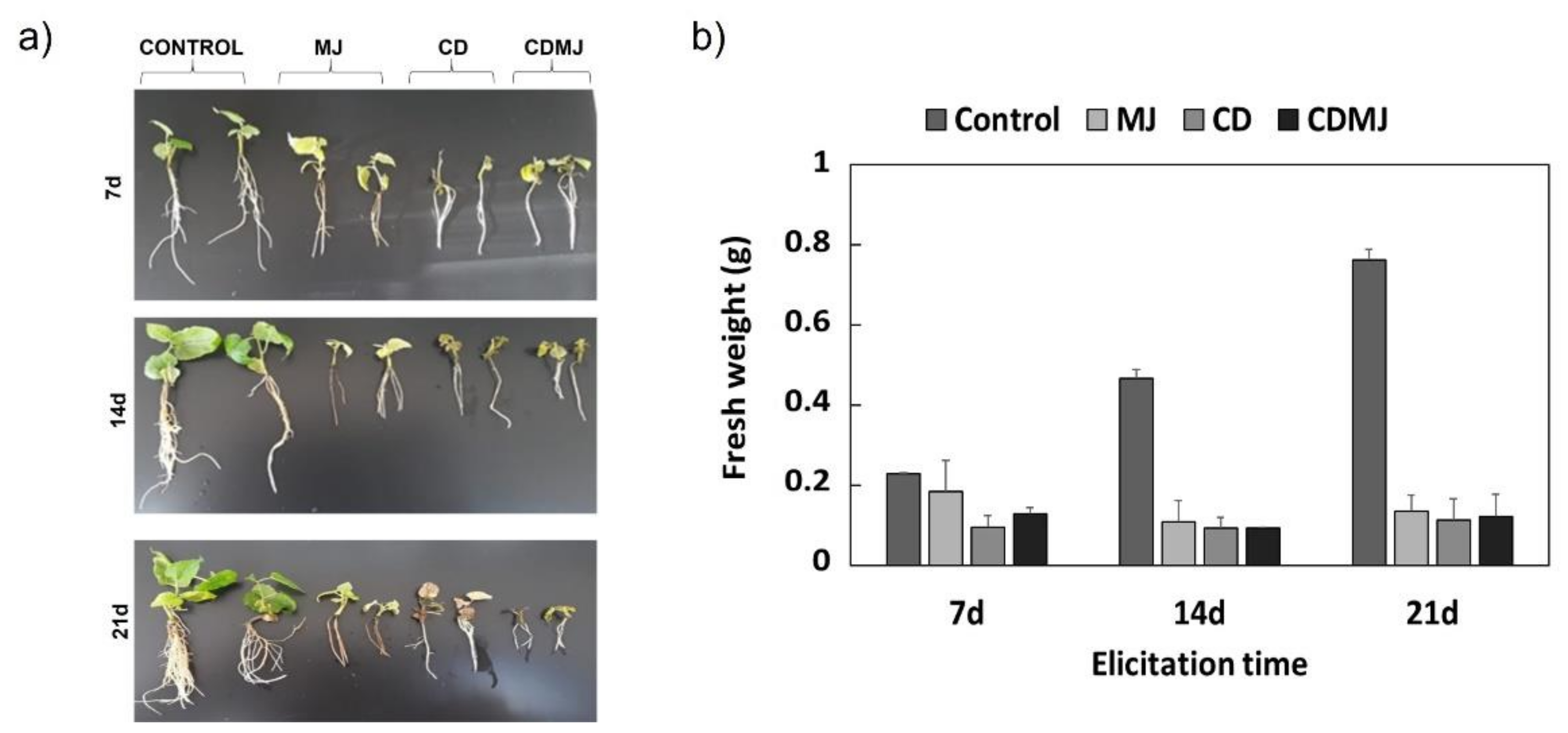 Plants 12 00546 g002