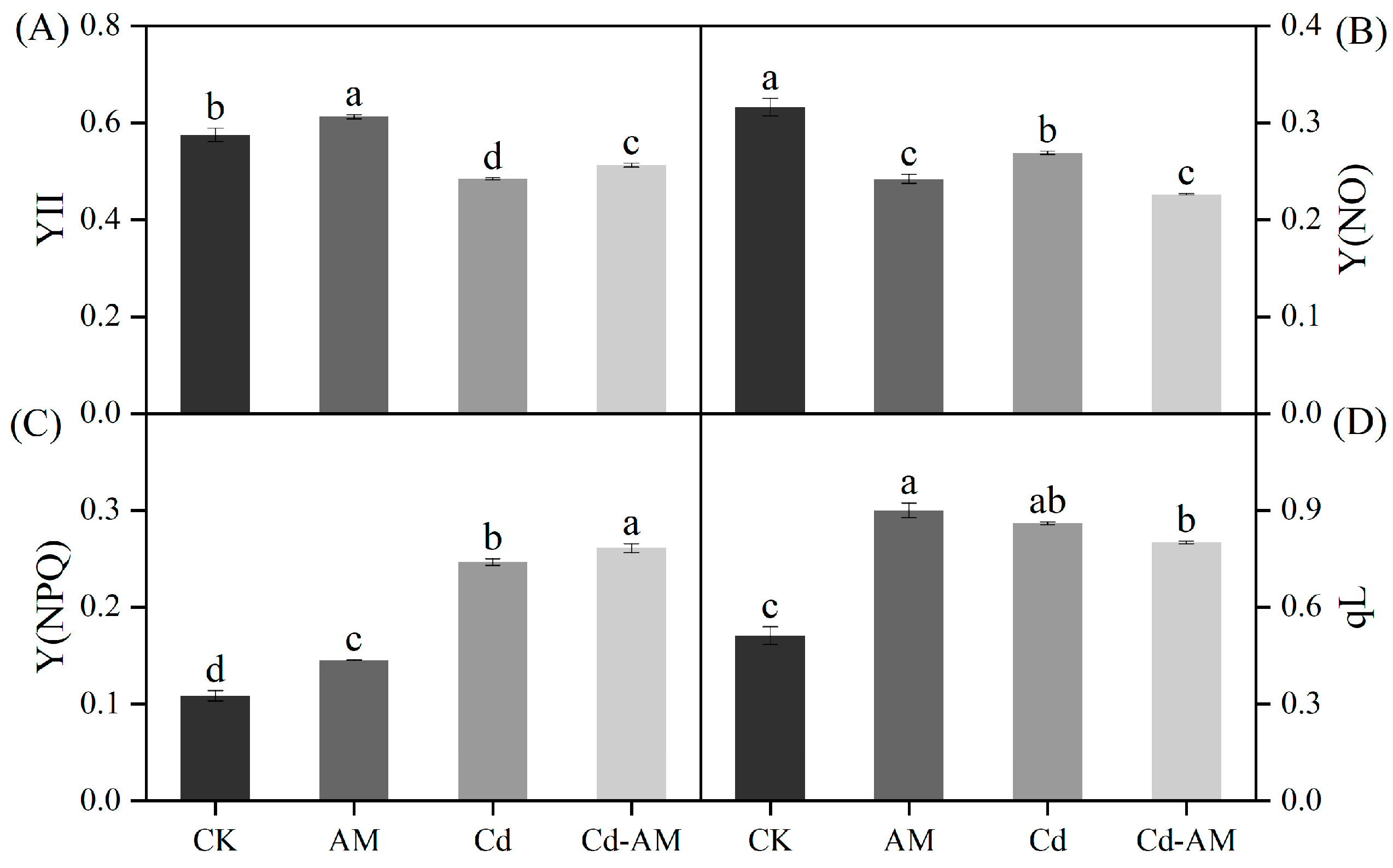 Plants 12 00547 g001