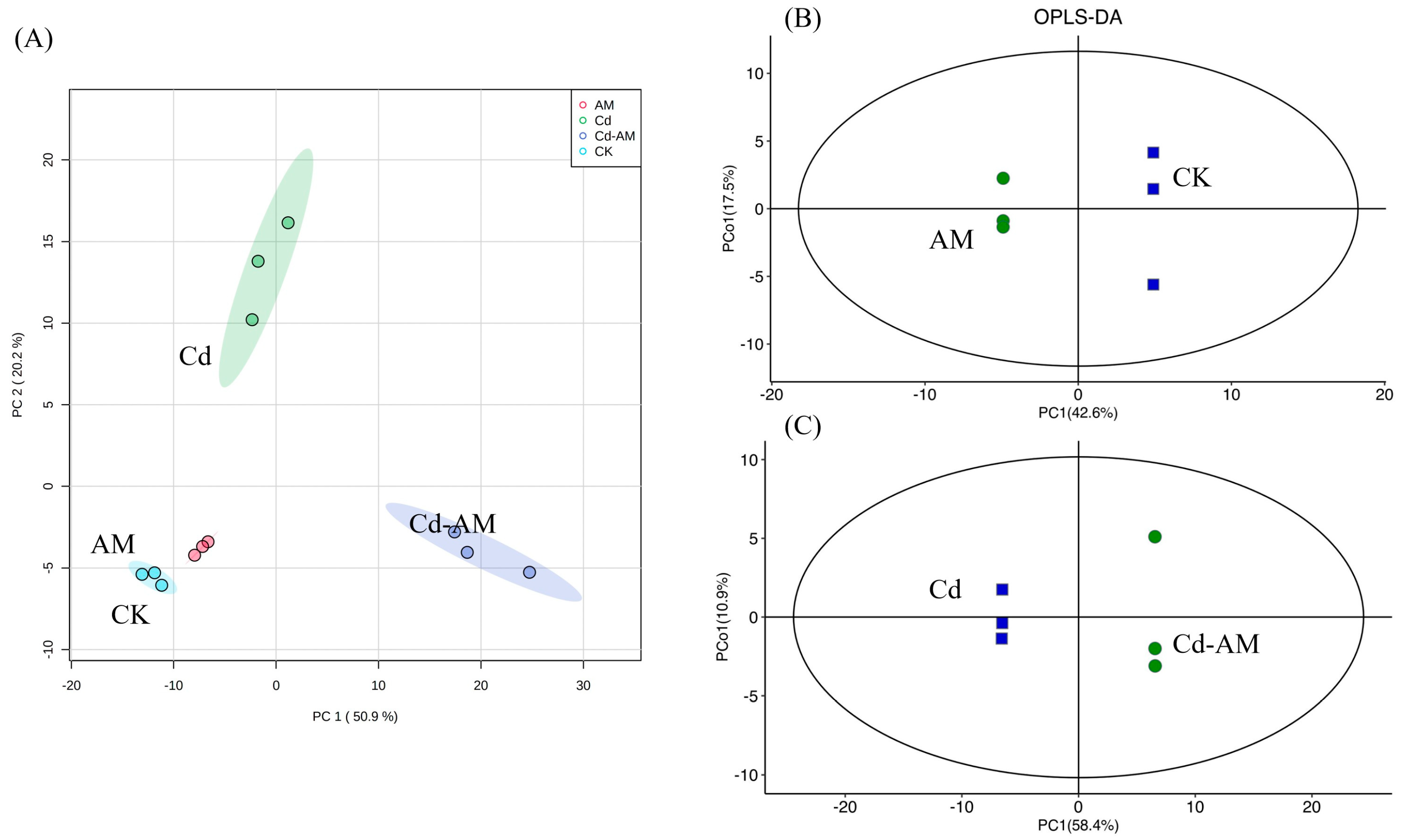 Plants 12 00547 g005
