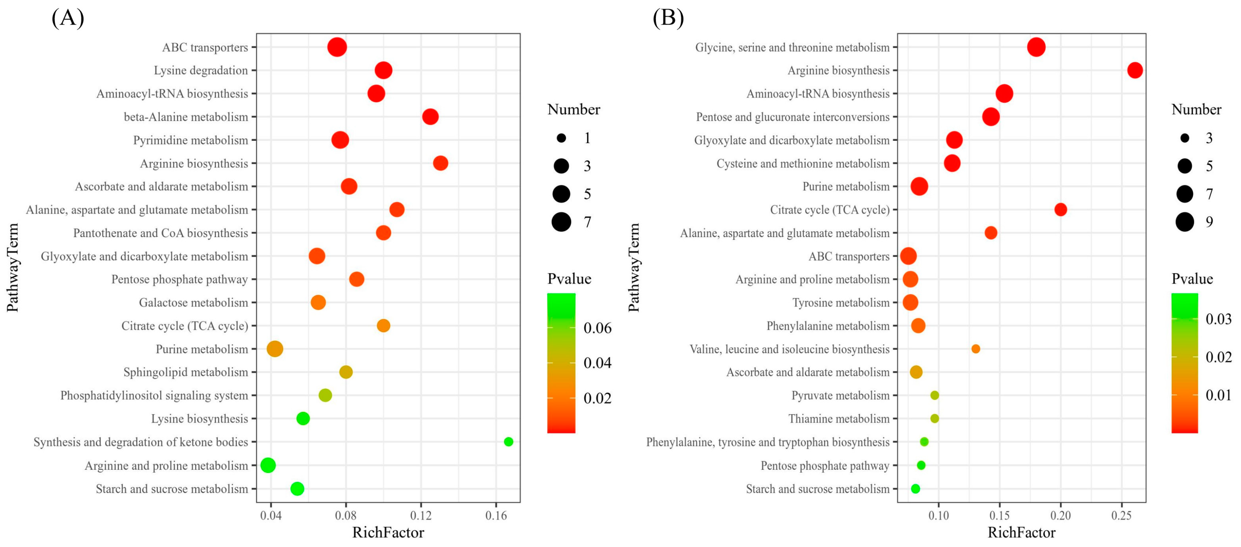 Plants 12 00547 g006