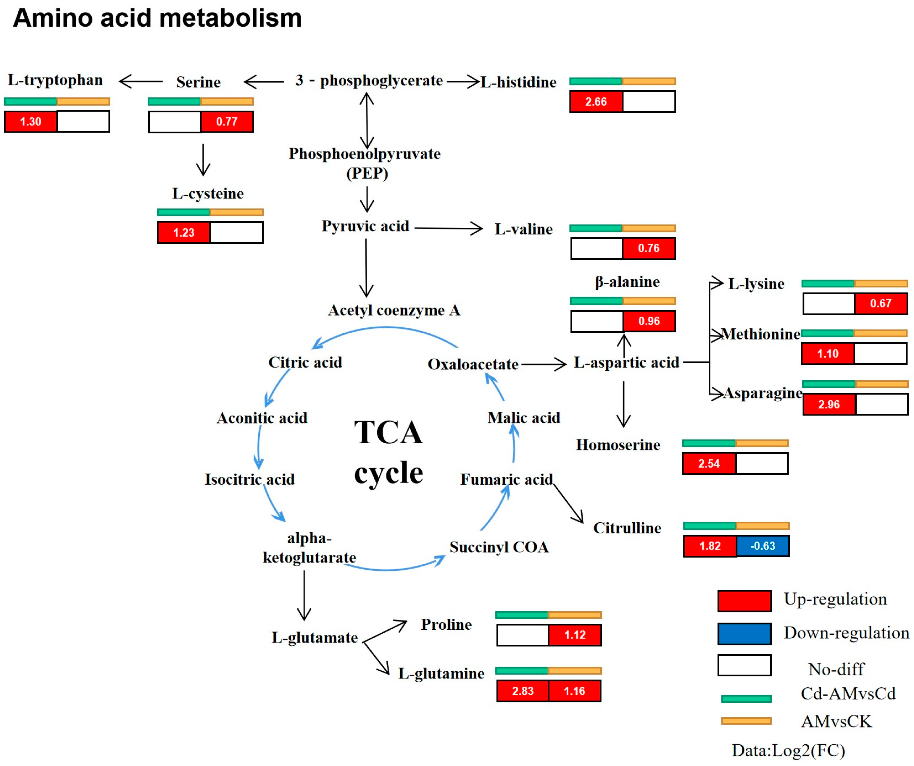Plants 12 00547 g007
