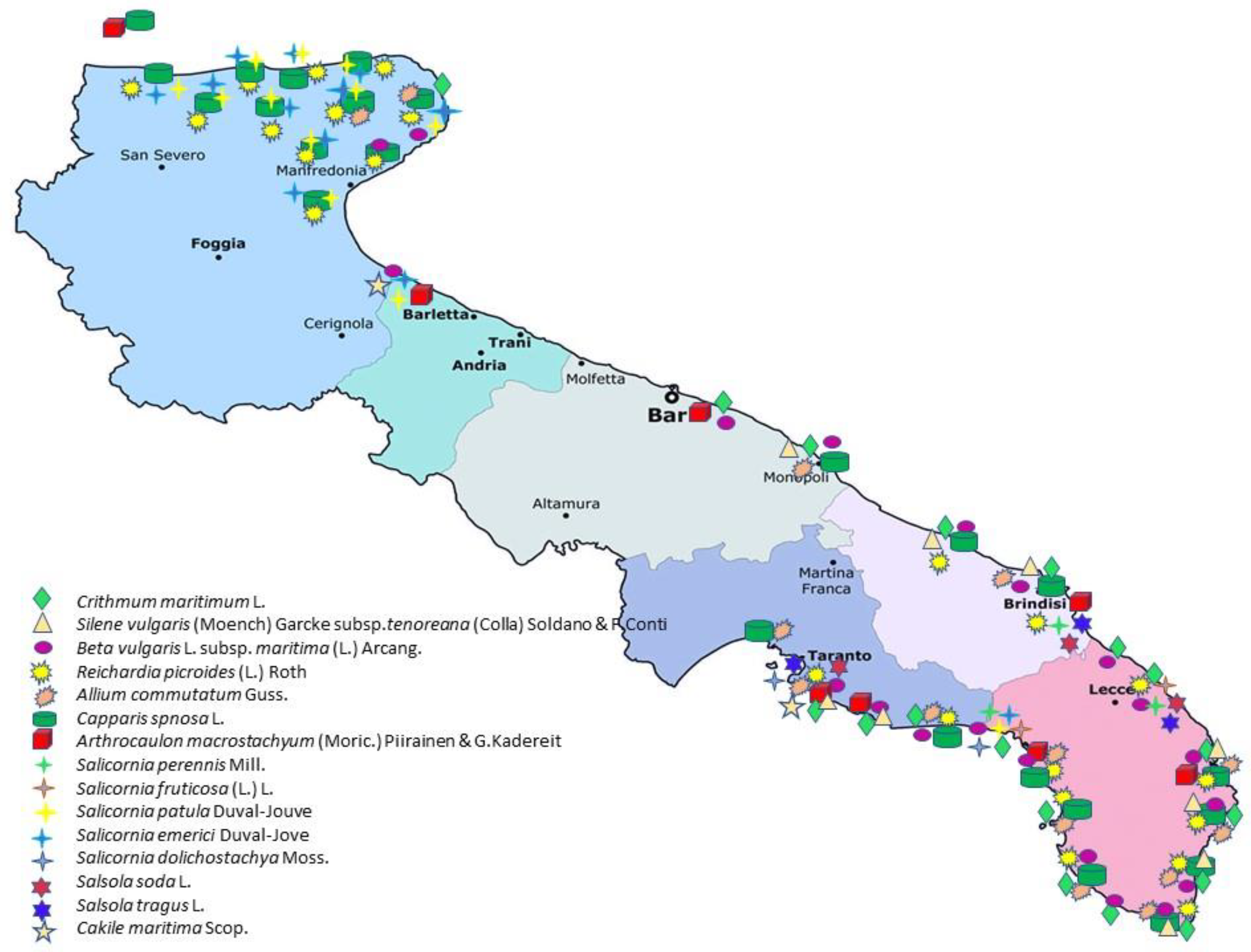 Plants 12 00549 g004