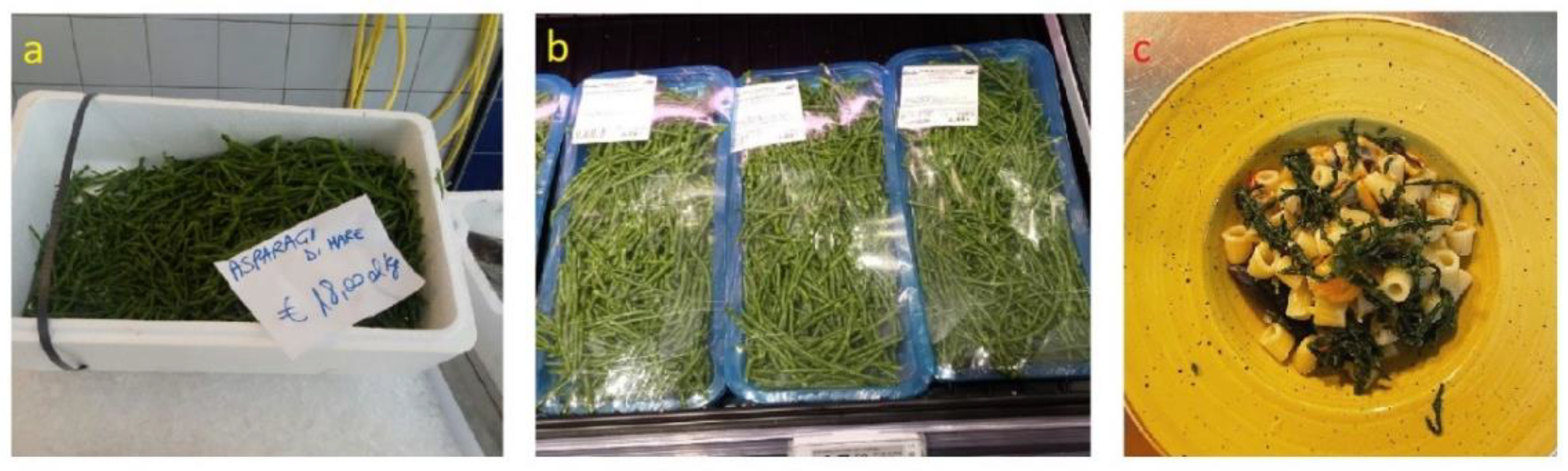 Plants 12 00549 g005