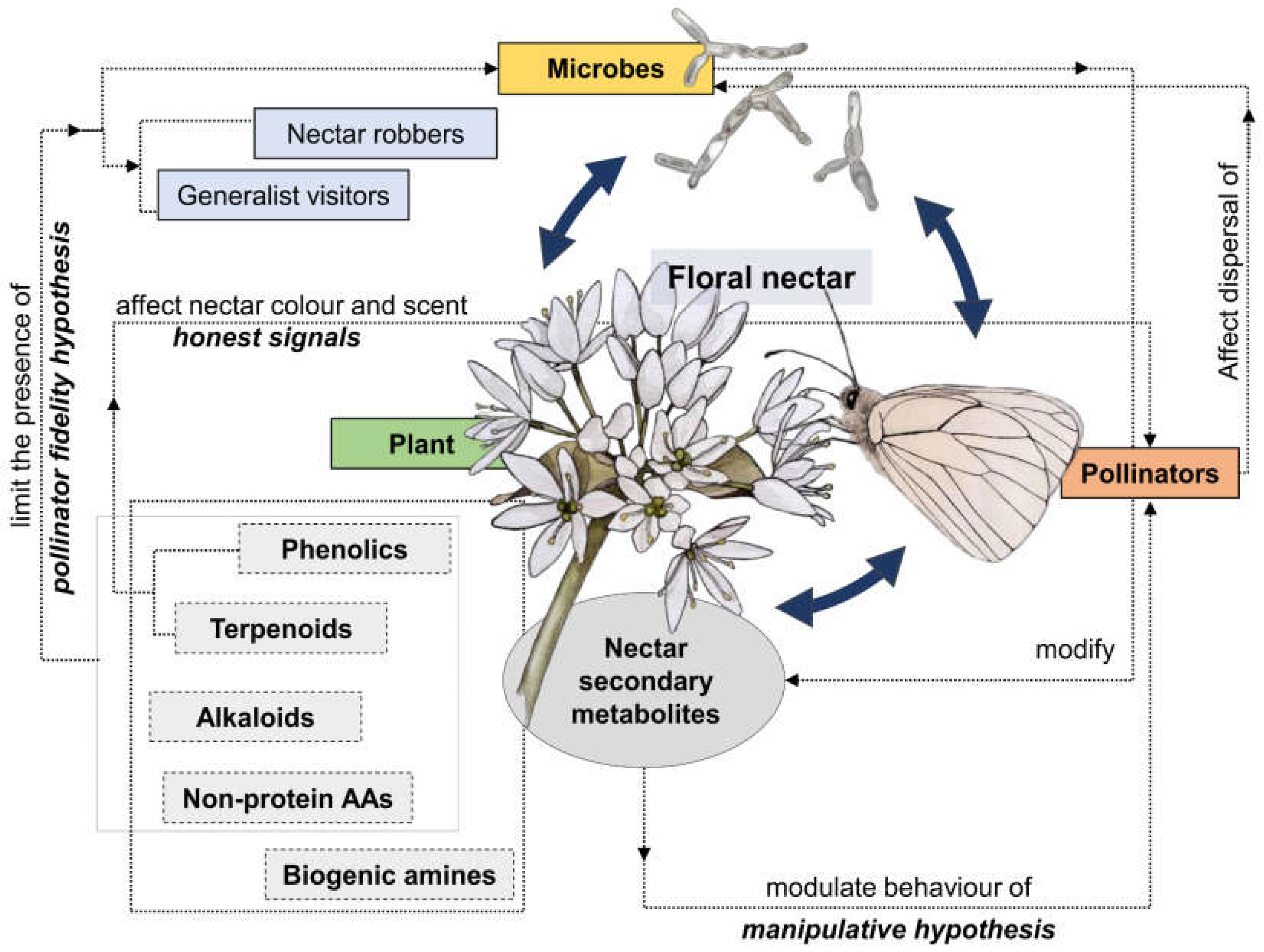 Plants 12 00550 g002