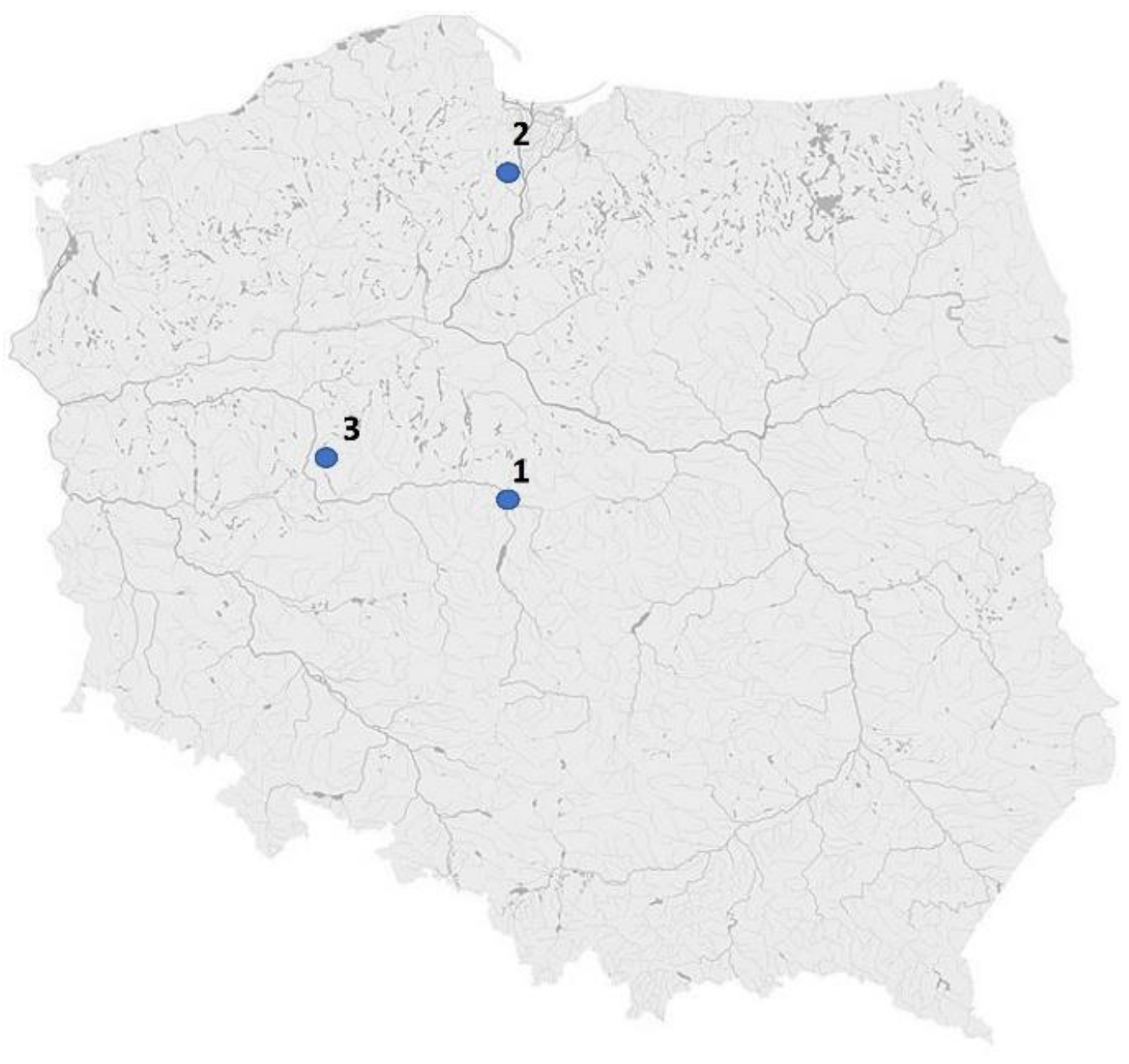 Plants 12 00551 g004