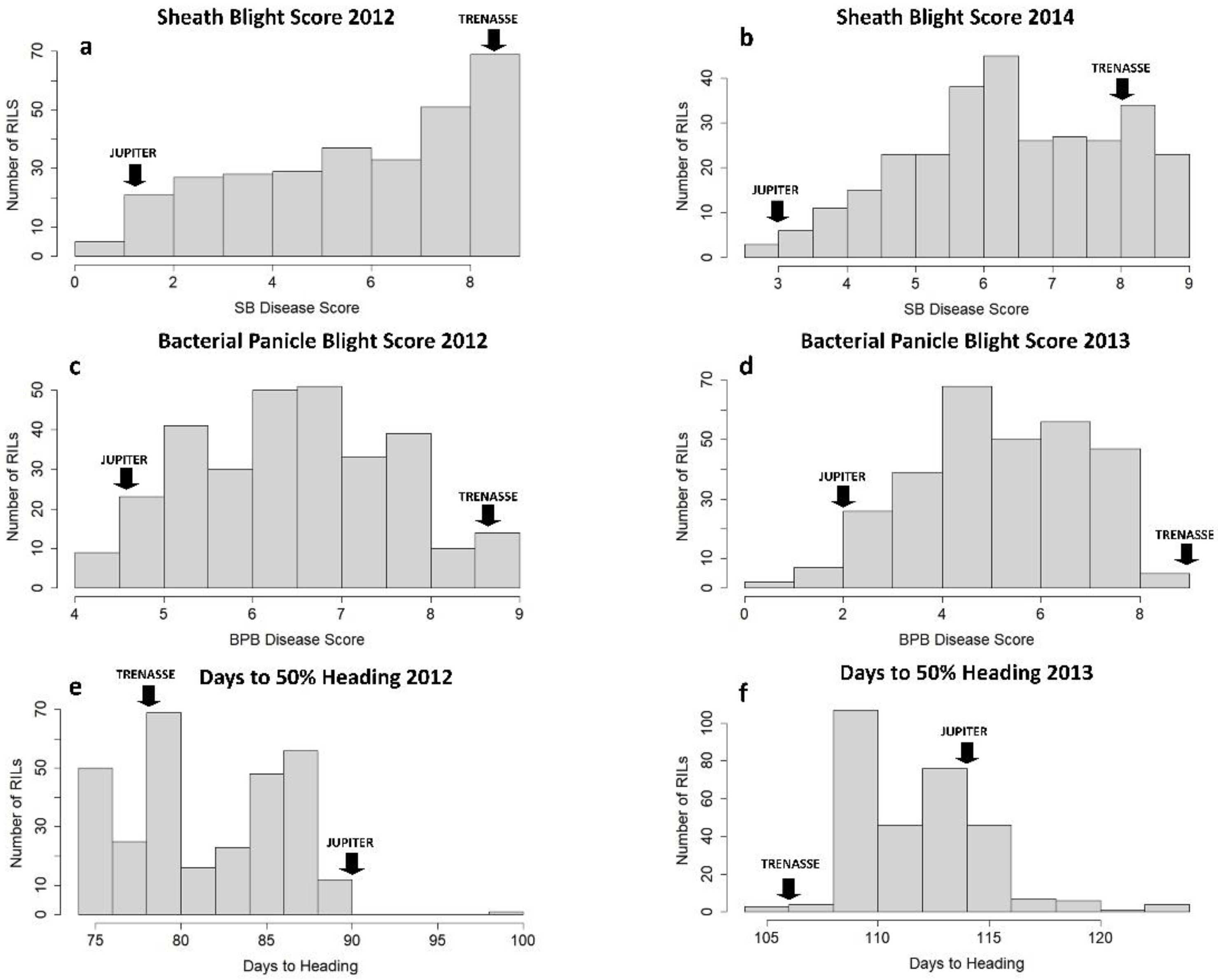 Plants 12 00559 g001 Plants 12 00559 g001