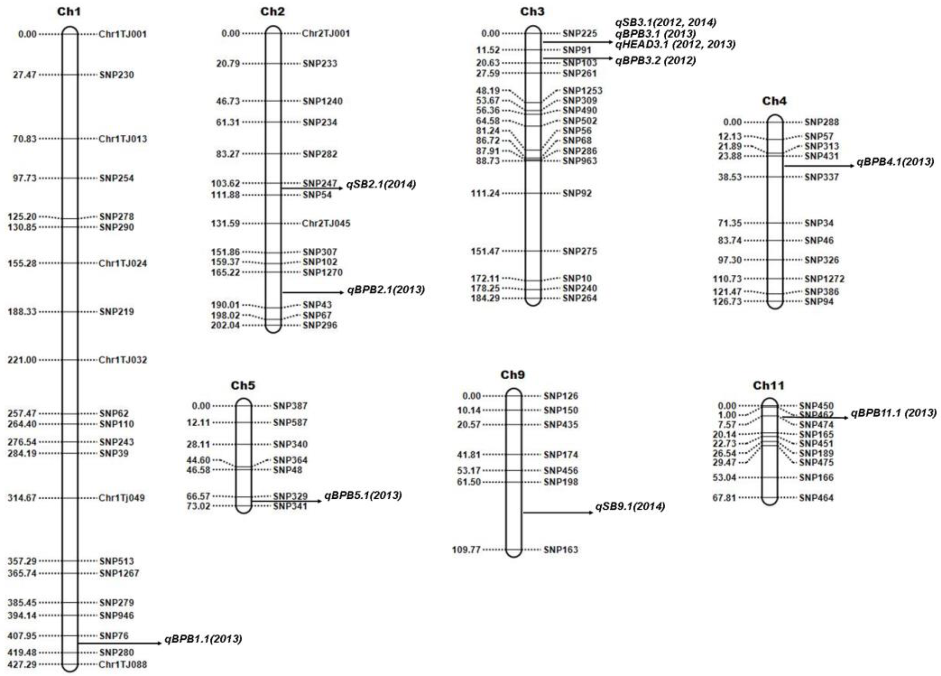 Plants 12 00559 g002 Plants 12 00559 g002