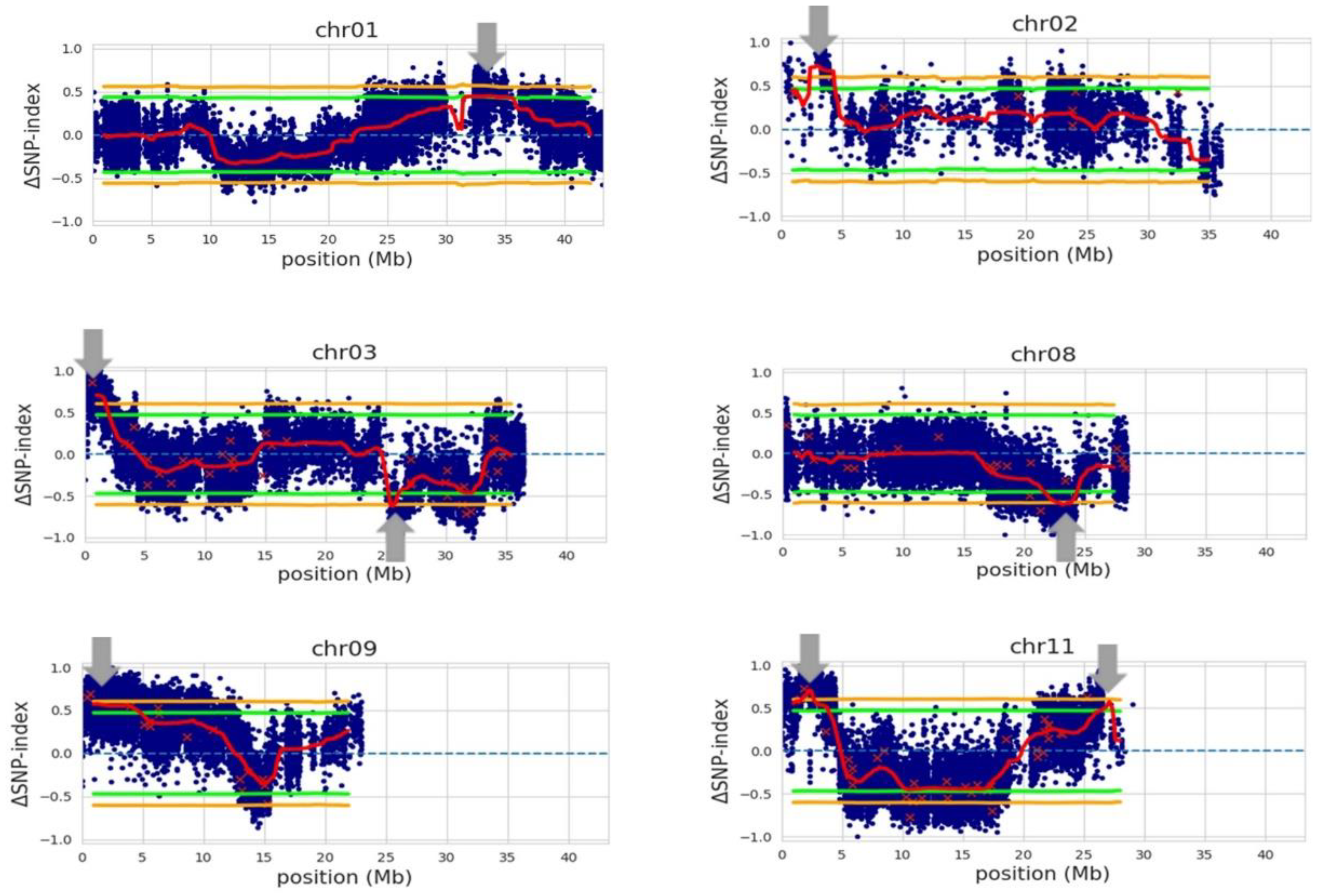 Plants 12 00559 g003 Plants 12 00559 g003