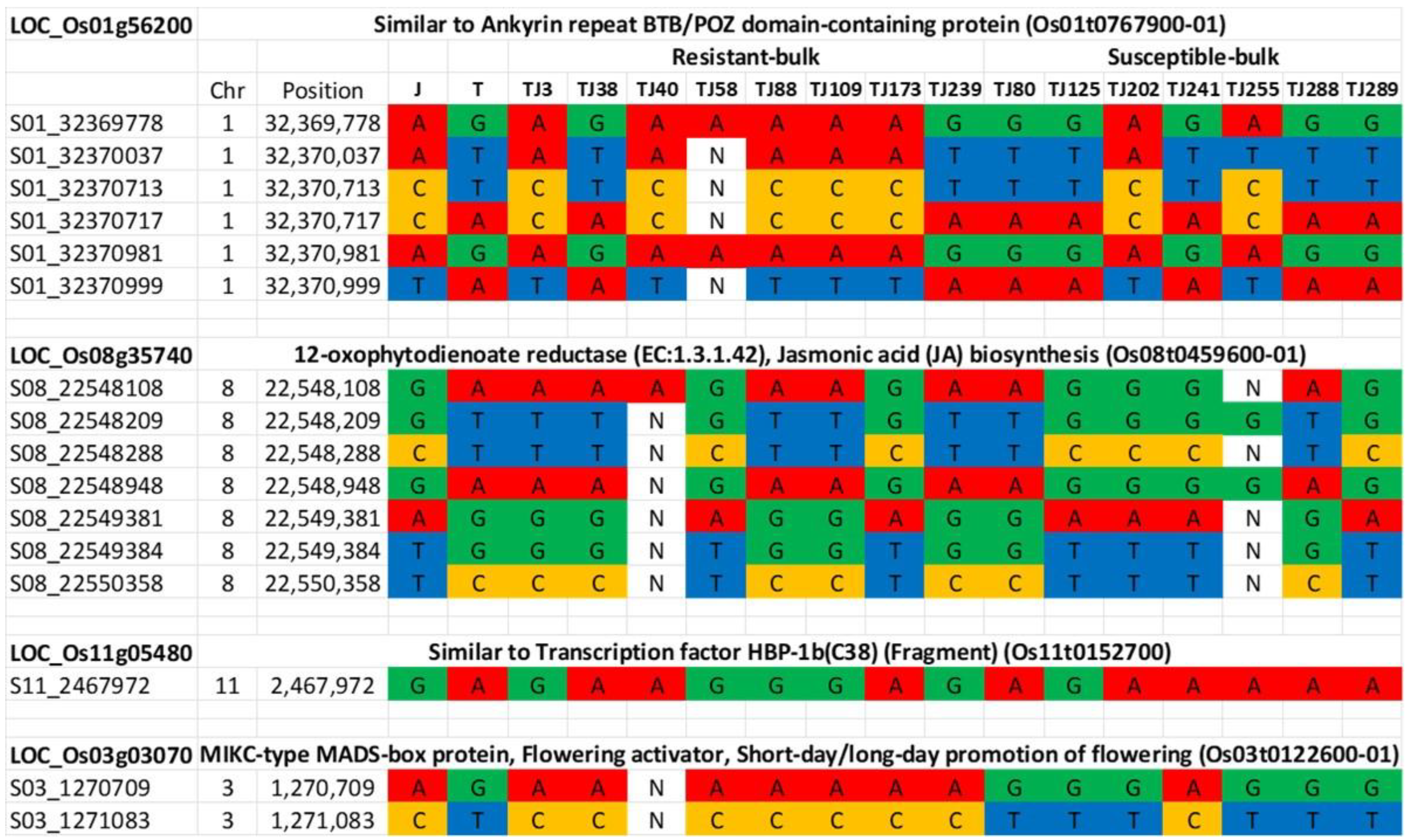 Plants 12 00559 g004 Plants 12 00559 g004