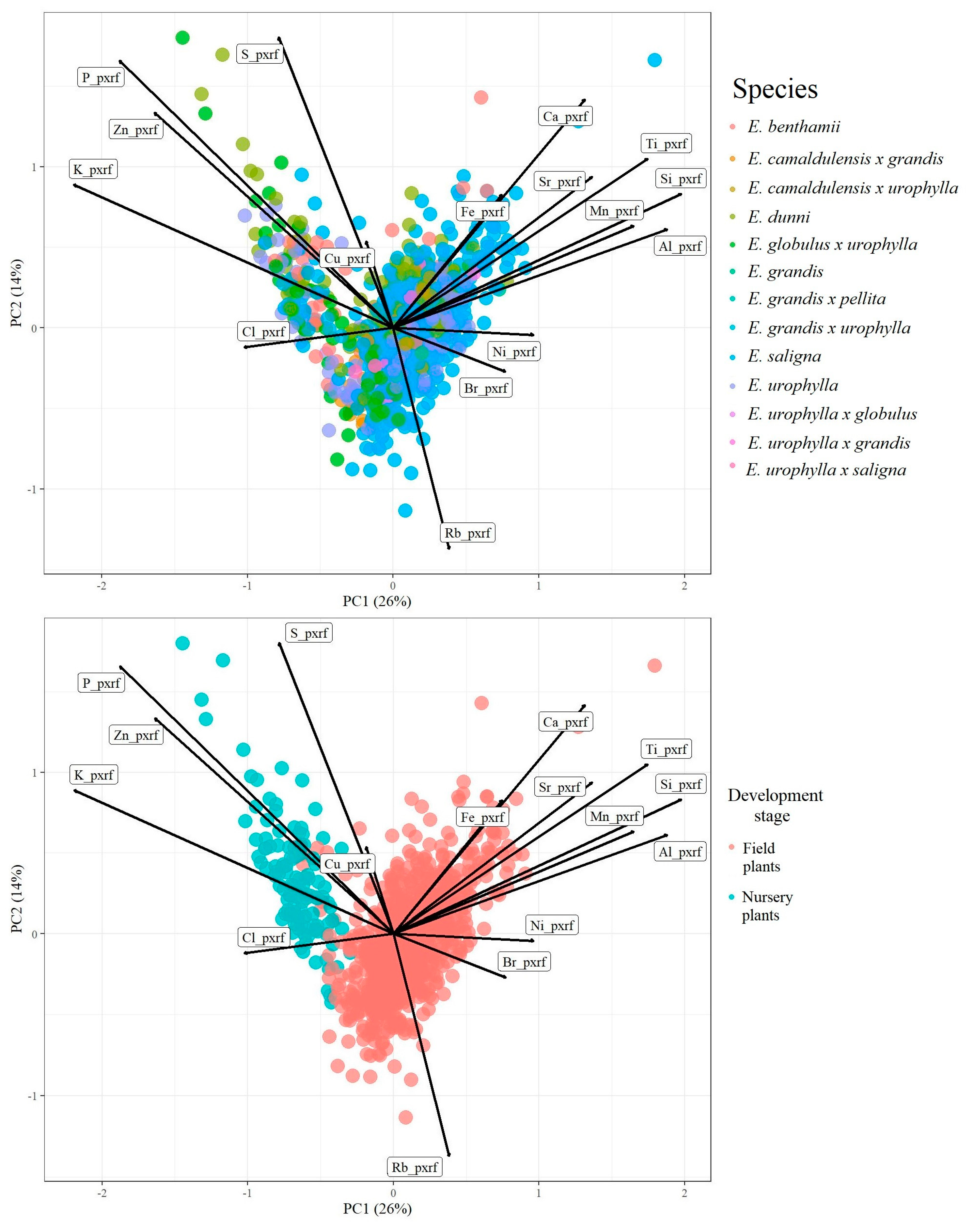 Plants 12 00561 g001 Plants 12 00561 g001