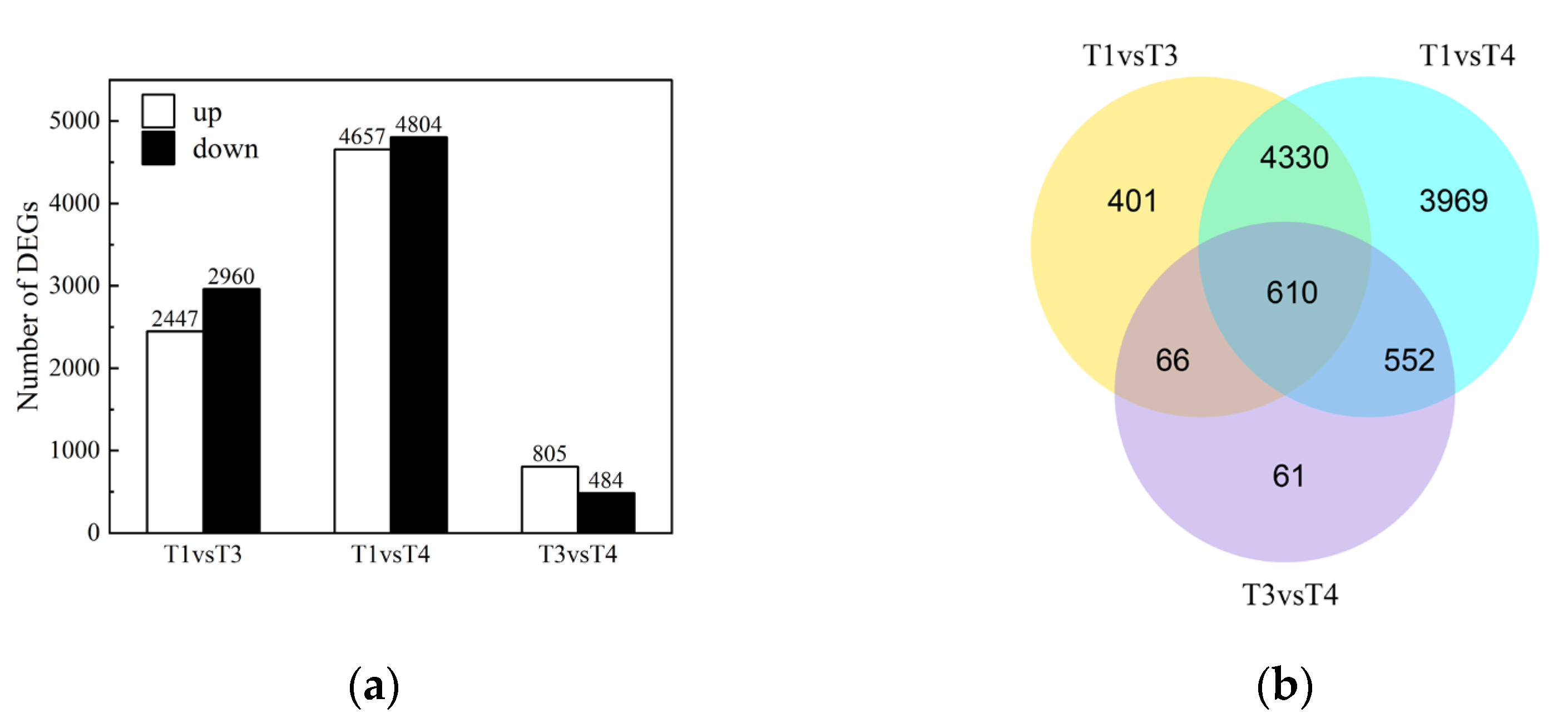 Plants 12 00563 g005