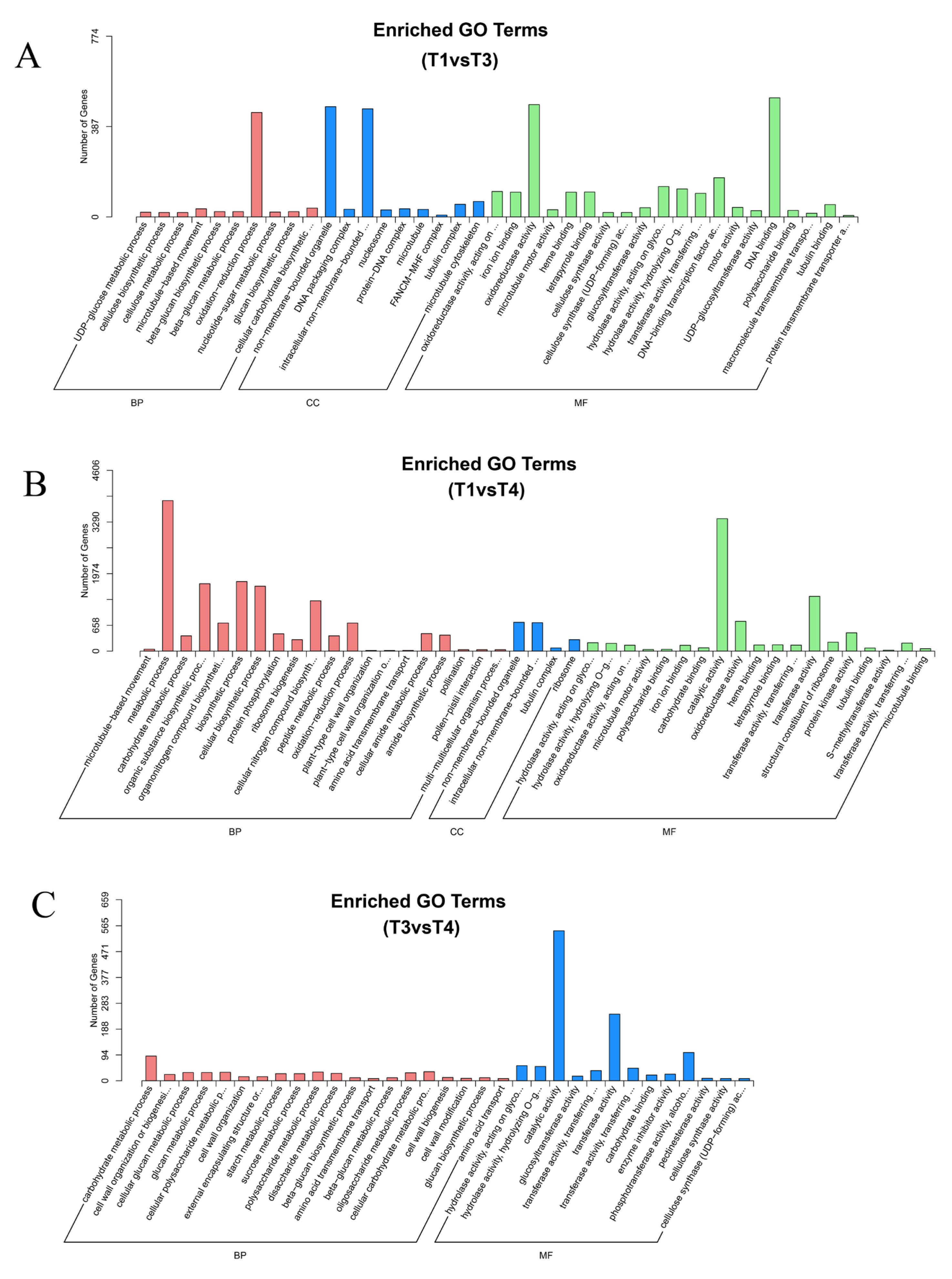 Plants 12 00563 g006