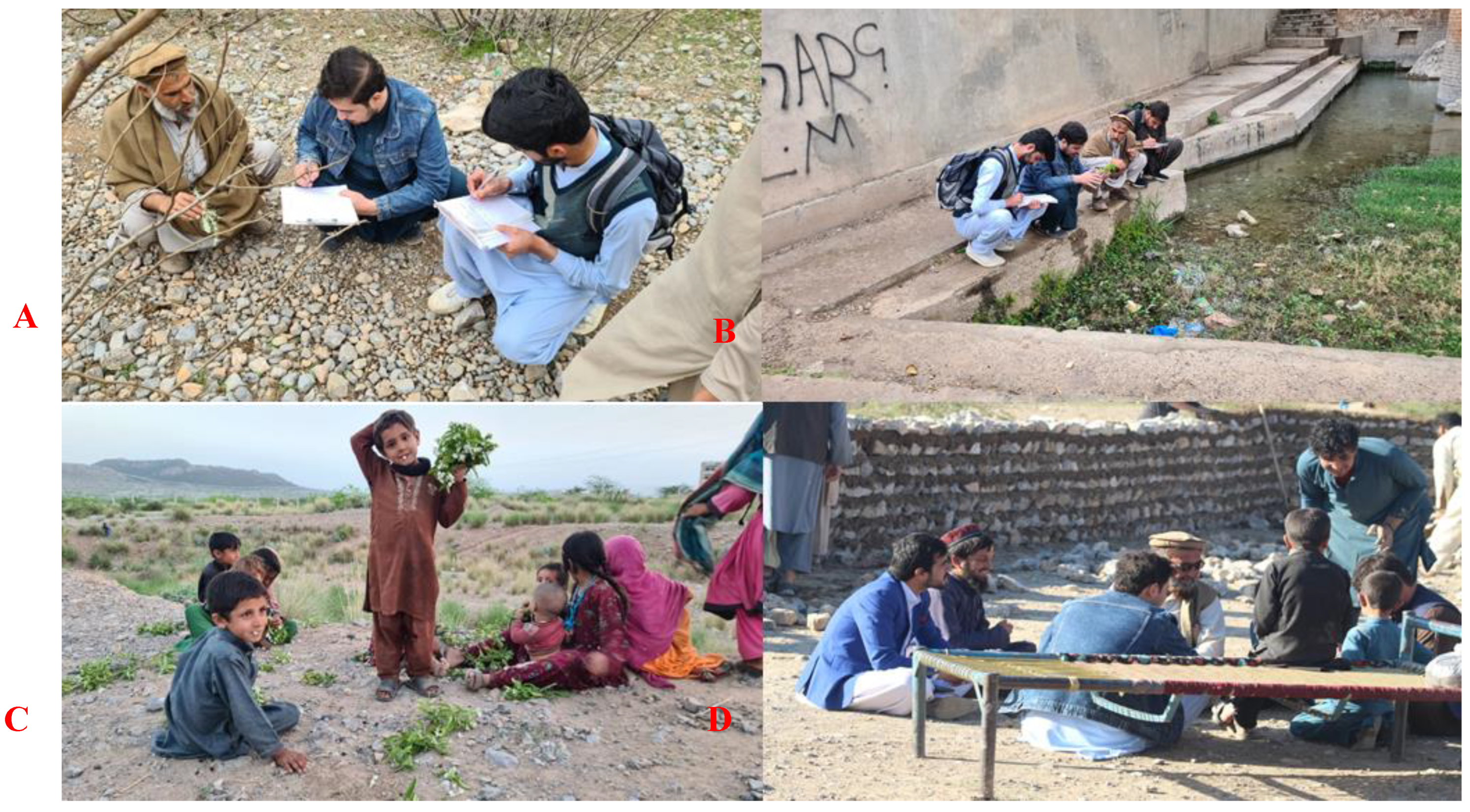 Plants 12 00574 g001