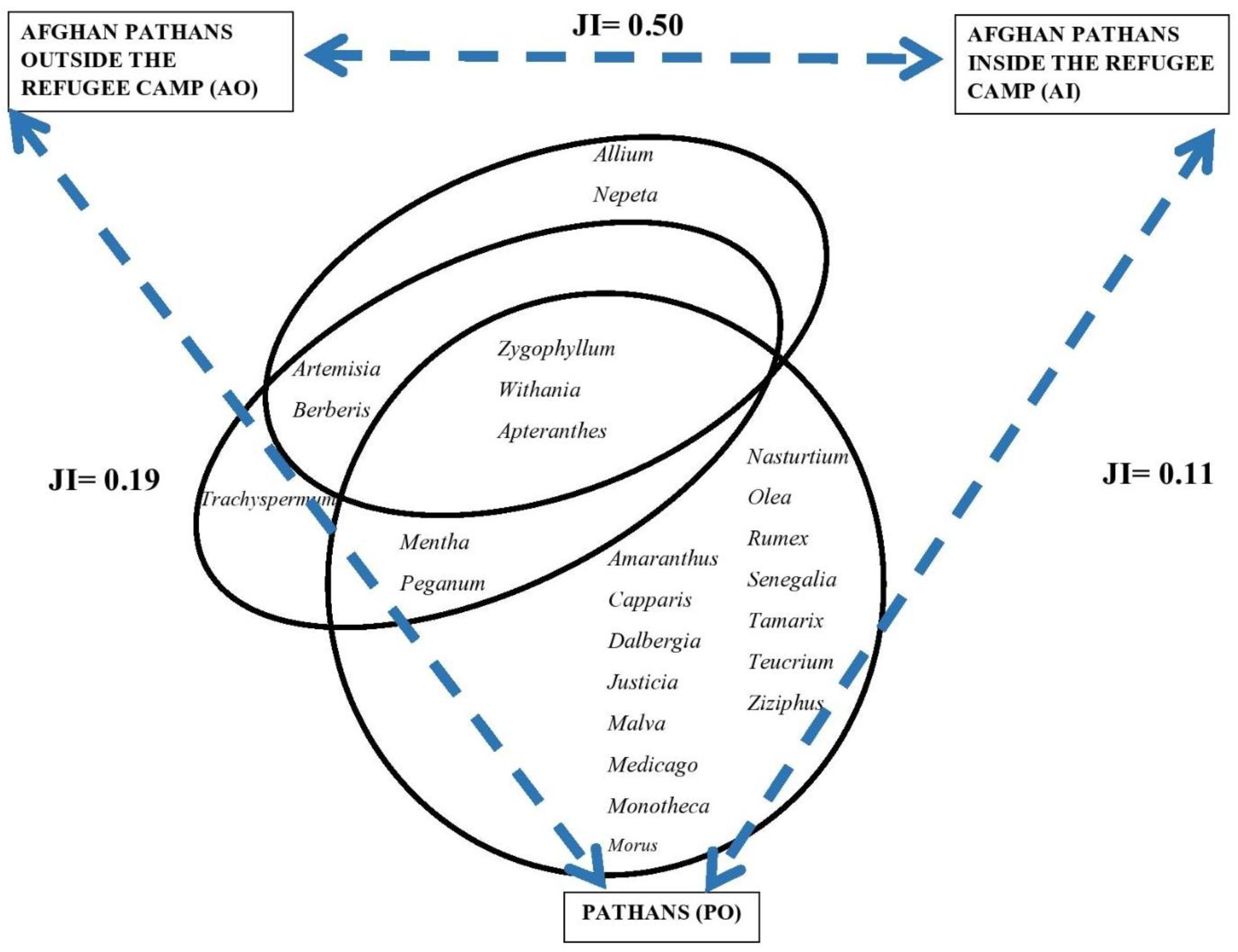 Plants 12 00574 g003