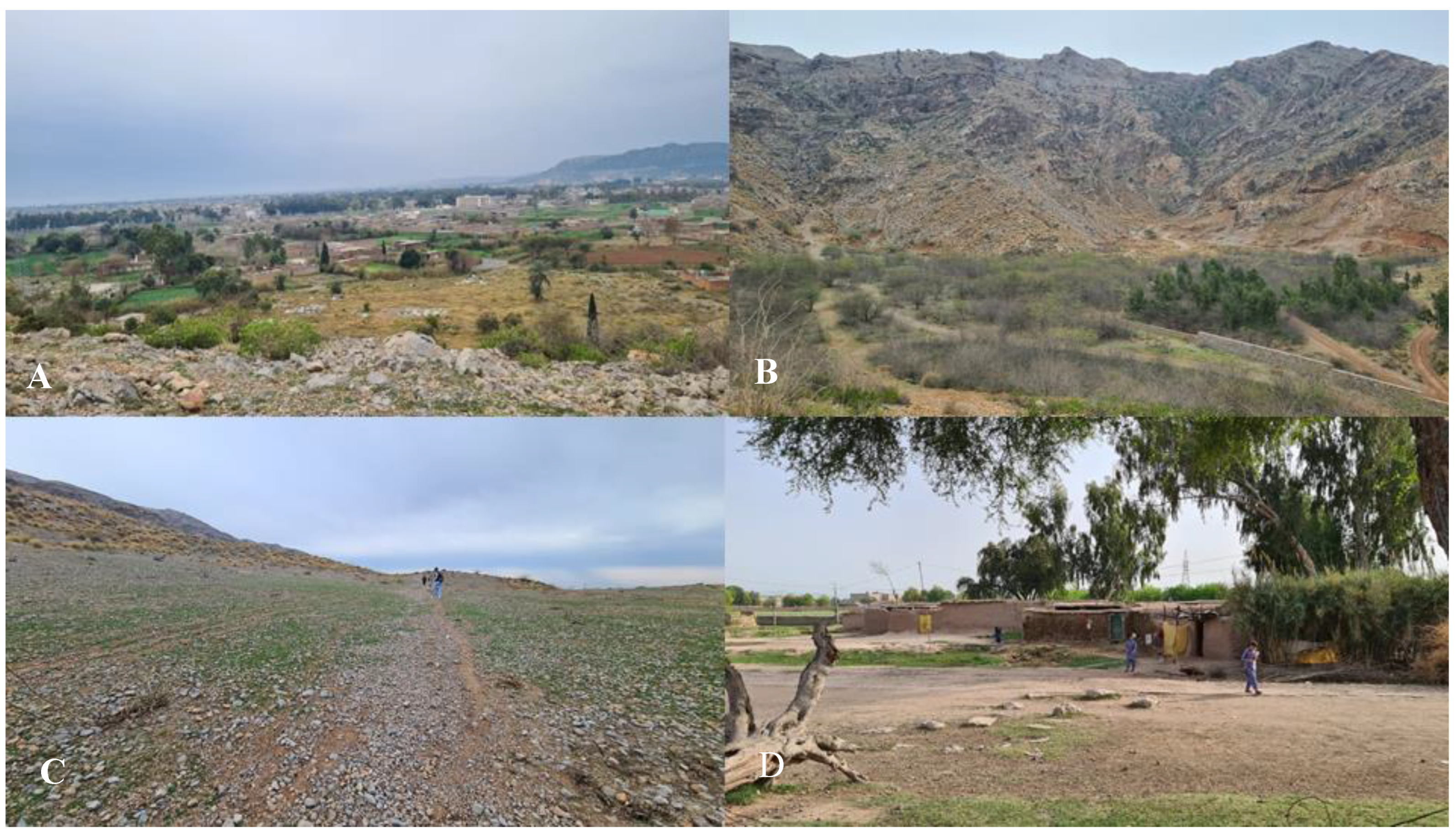 Plants 12 00574 g007