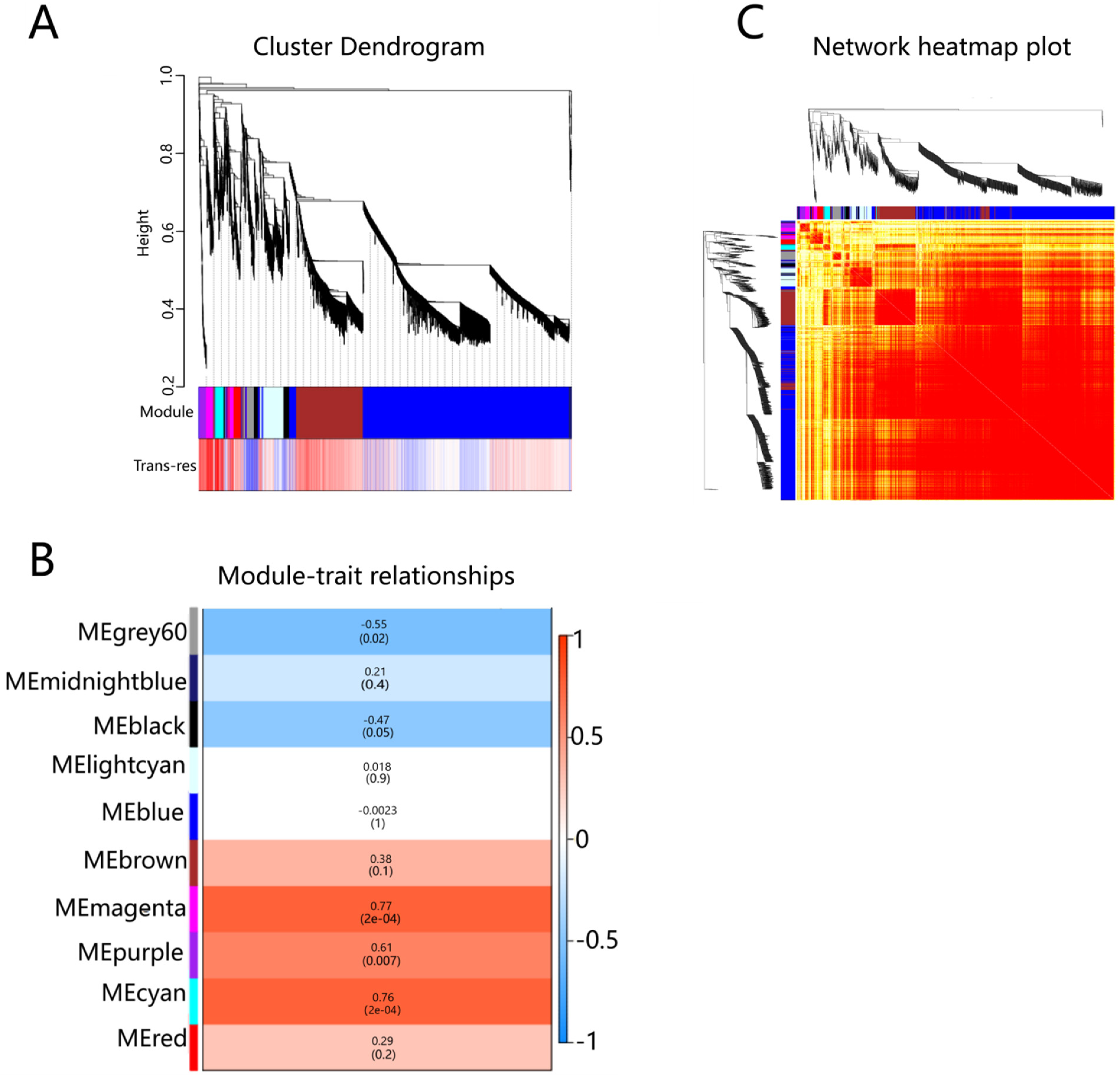 Plants 12 00578 g002 Plants 12 00578 g002