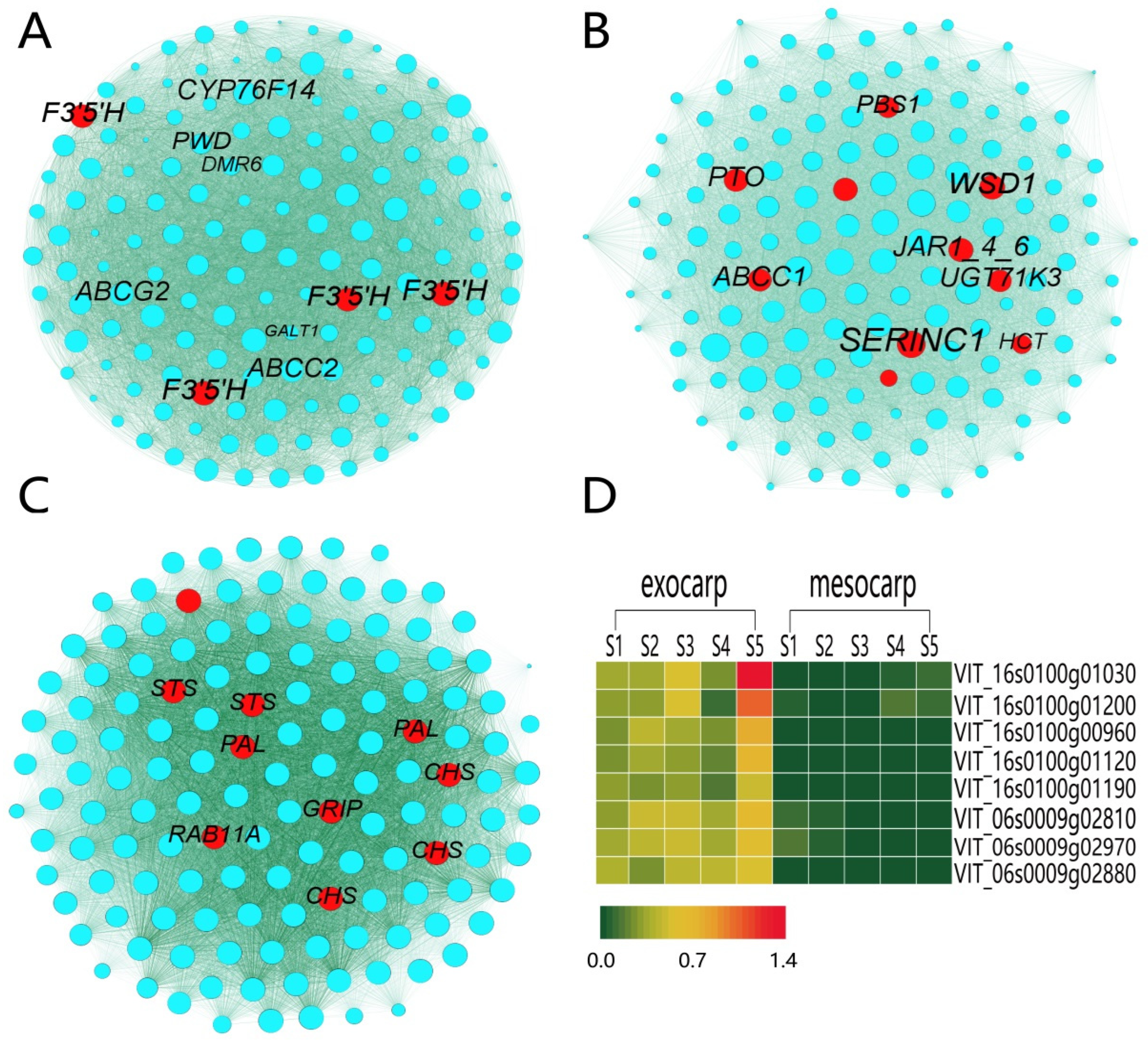 Plants 12 00578 g004 Plants 12 00578 g004