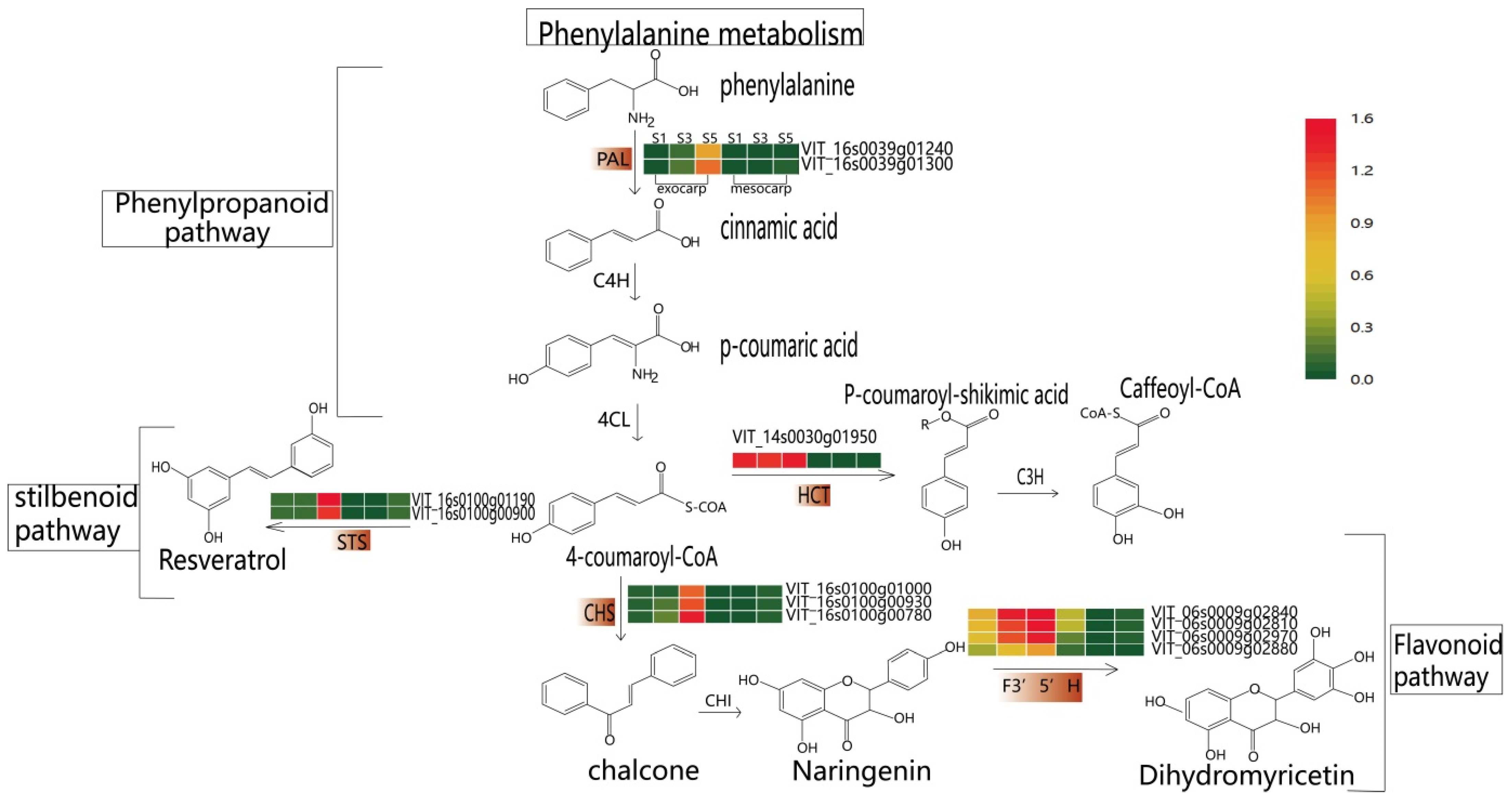 Plants 12 00578 g005 Plants 12 00578 g005