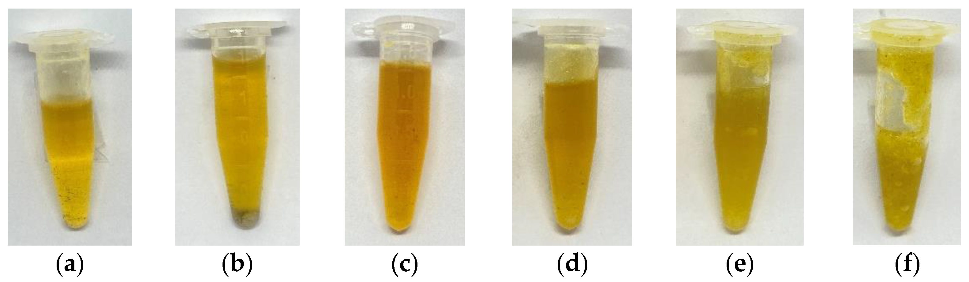 Plants 12 00585 g001