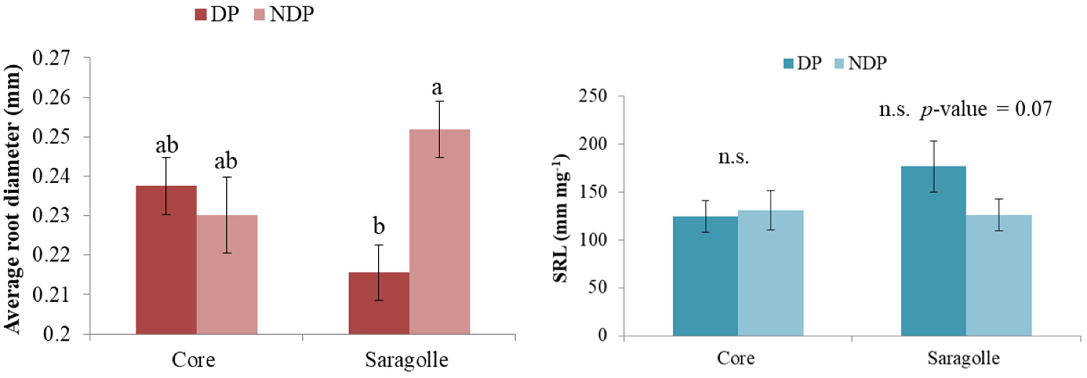 Plants 12 00588 g008 Plants 12 00588 g008