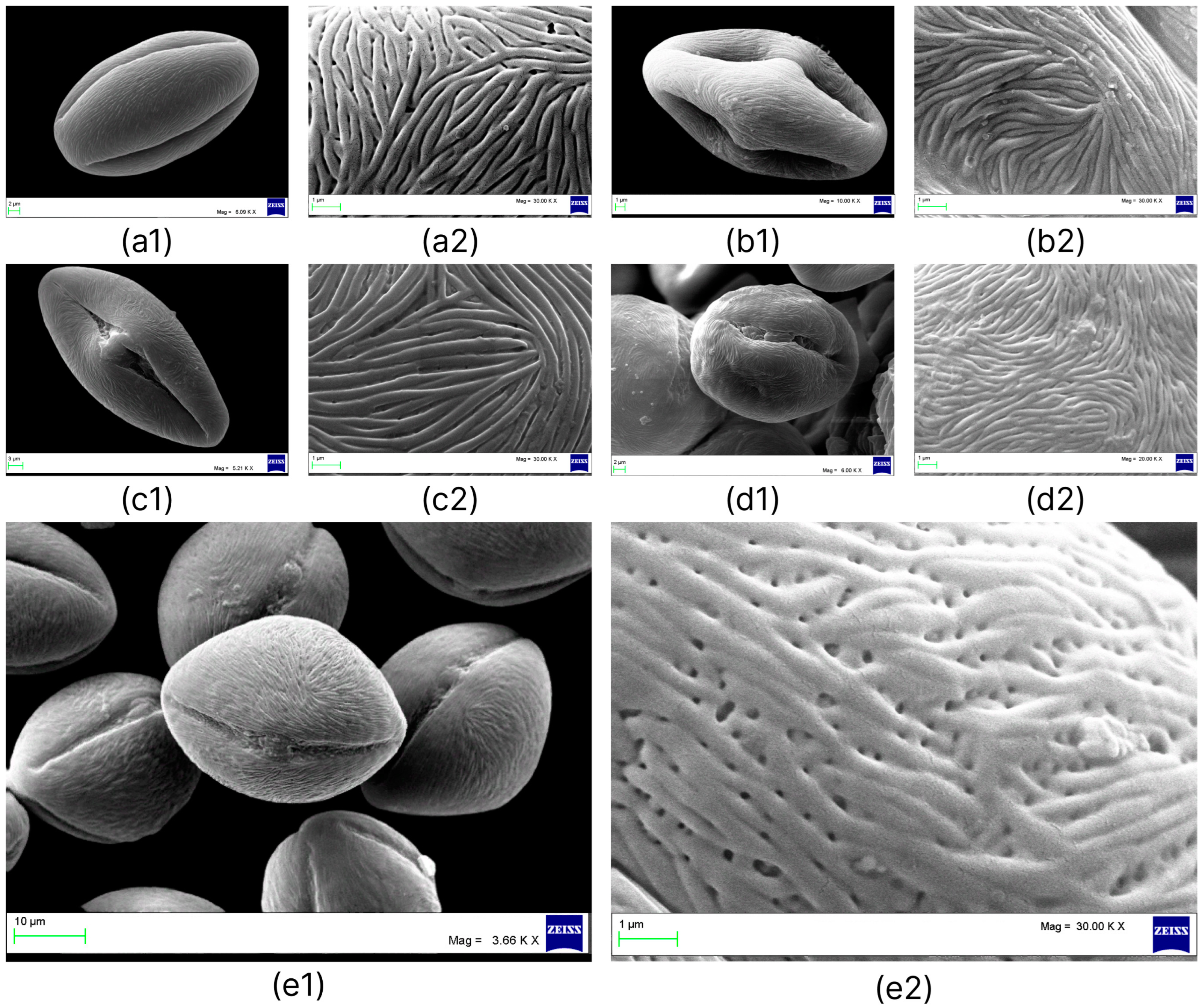 Plants 12 00593 g002 Plants 12 00593 g002