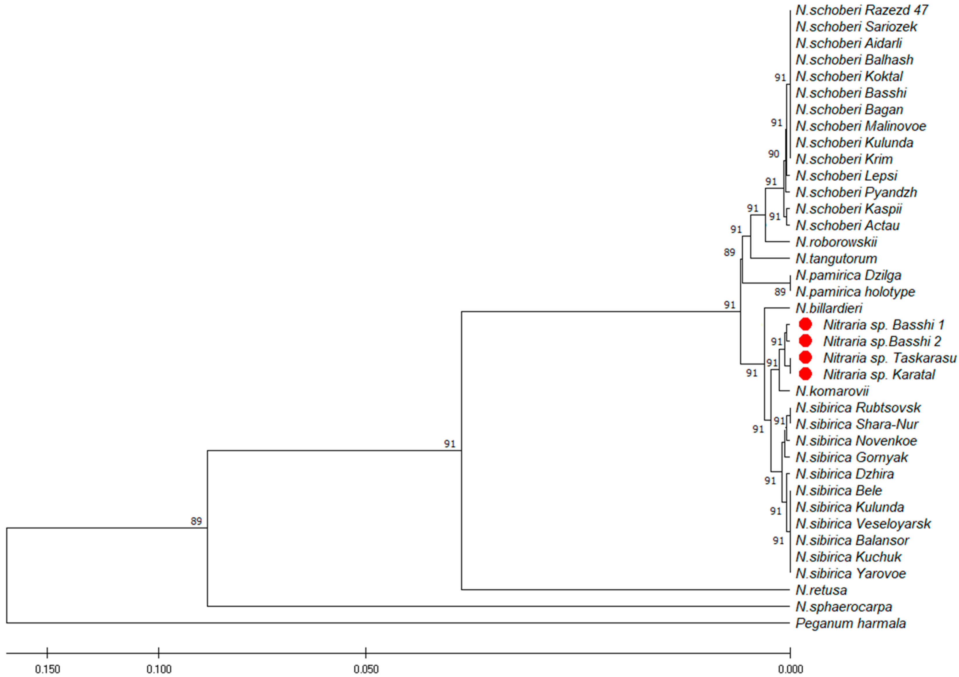 Plants 12 00593 g003 Plants 12 00593 g003