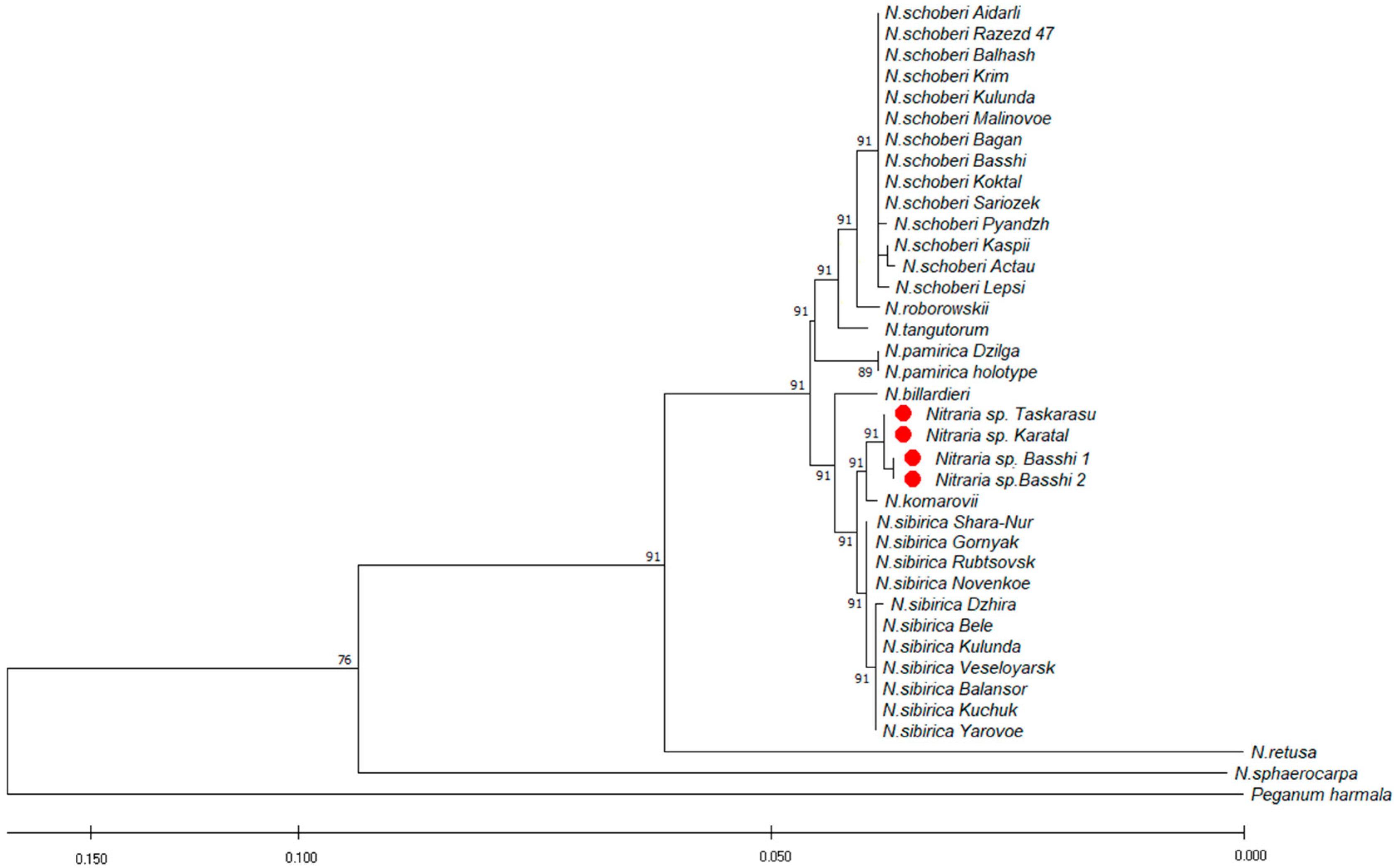 Plants 12 00593 g004 Plants 12 00593 g004
