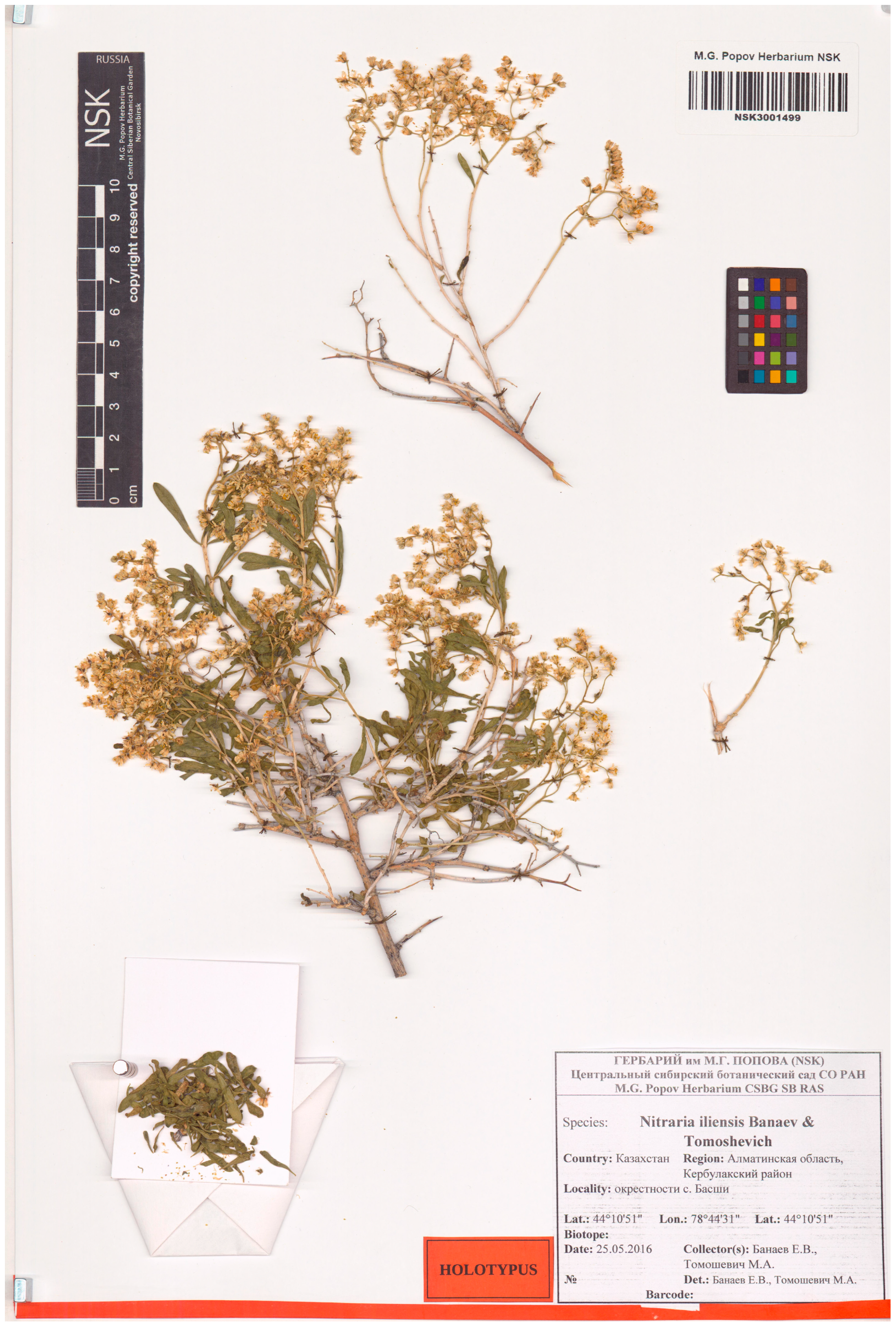 Plants 12 00593 g006 Plants 12 00593 g006