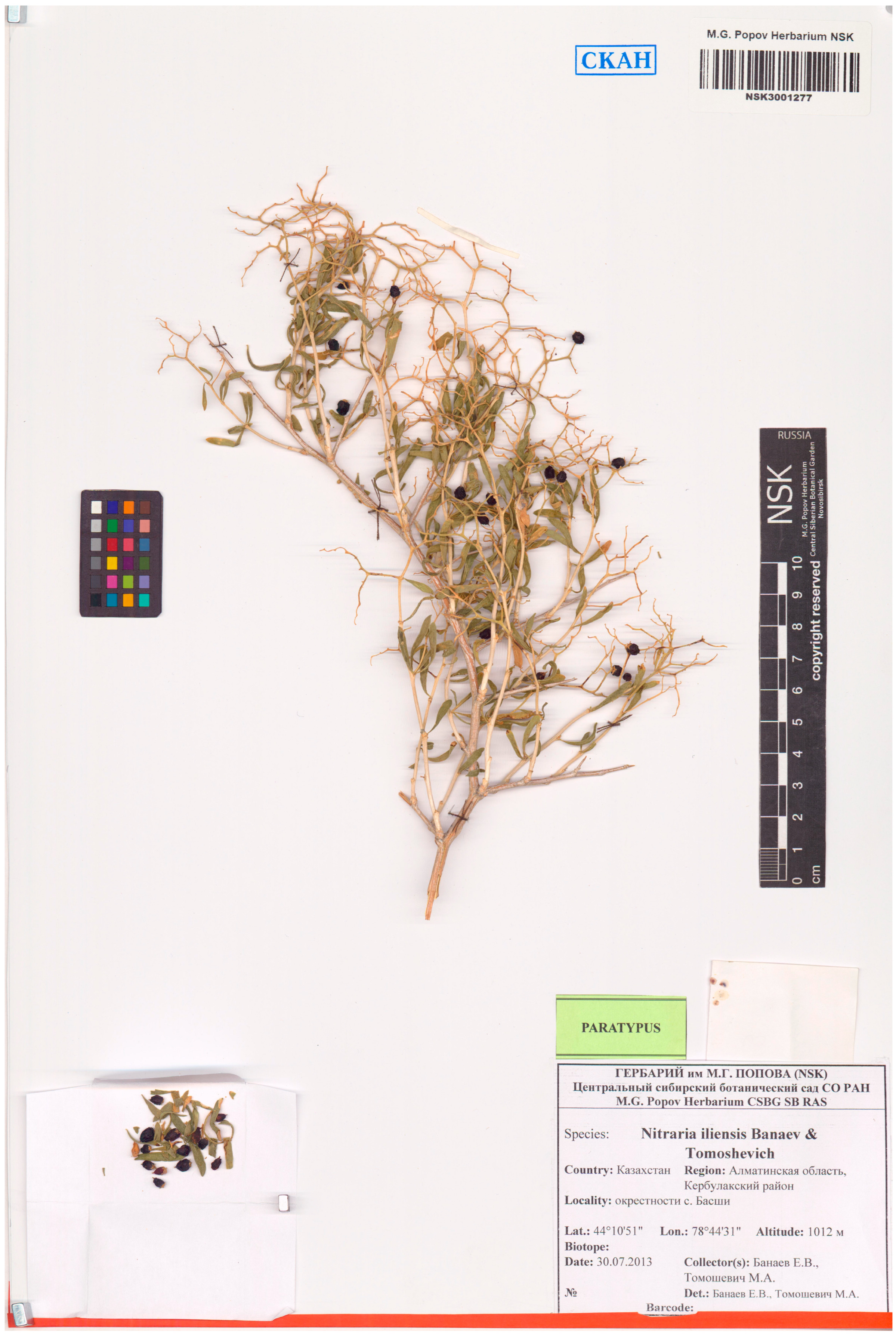 Plants 12 00593 g007 Plants 12 00593 g007