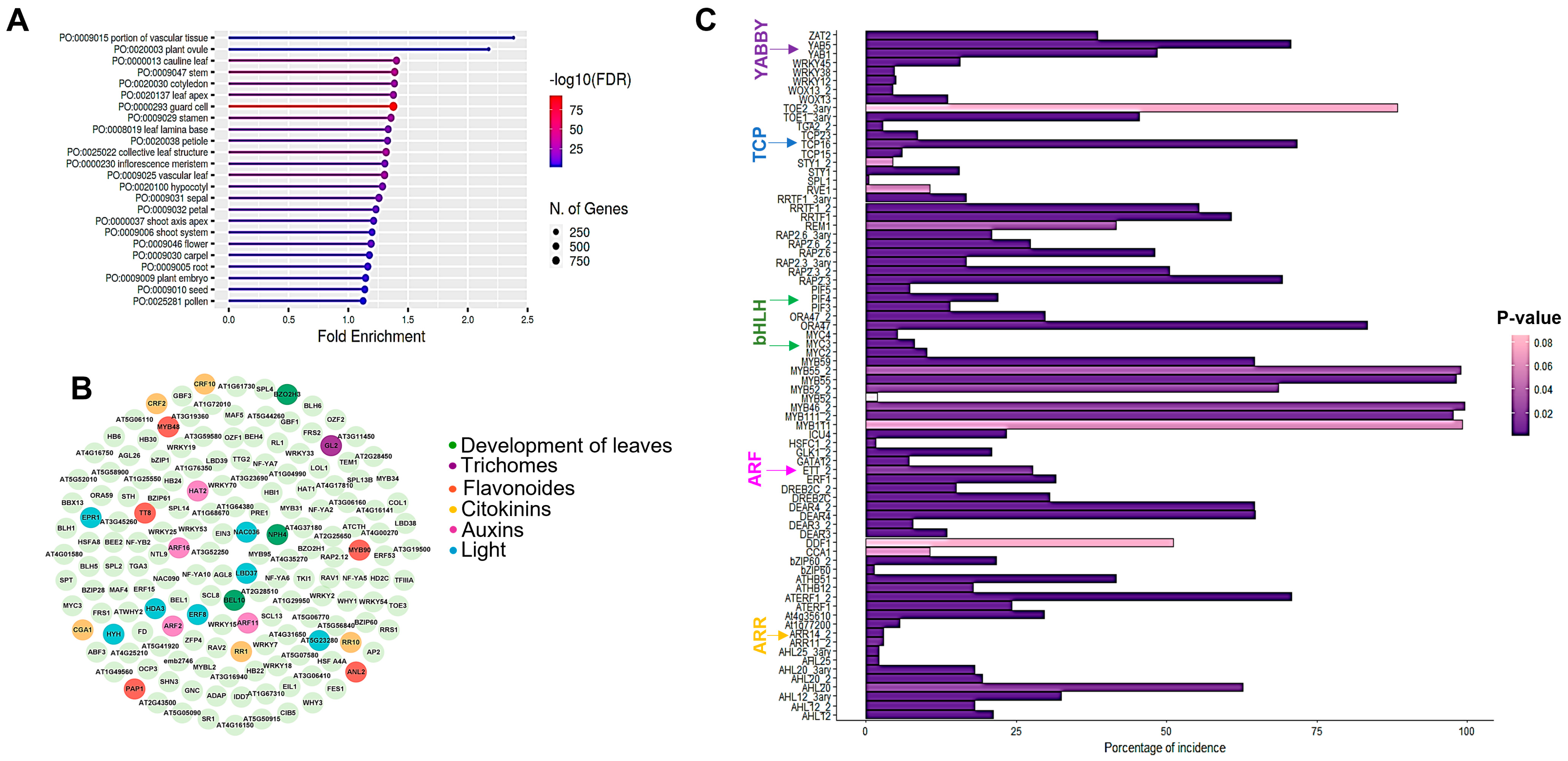 Plants 12 00596 g001