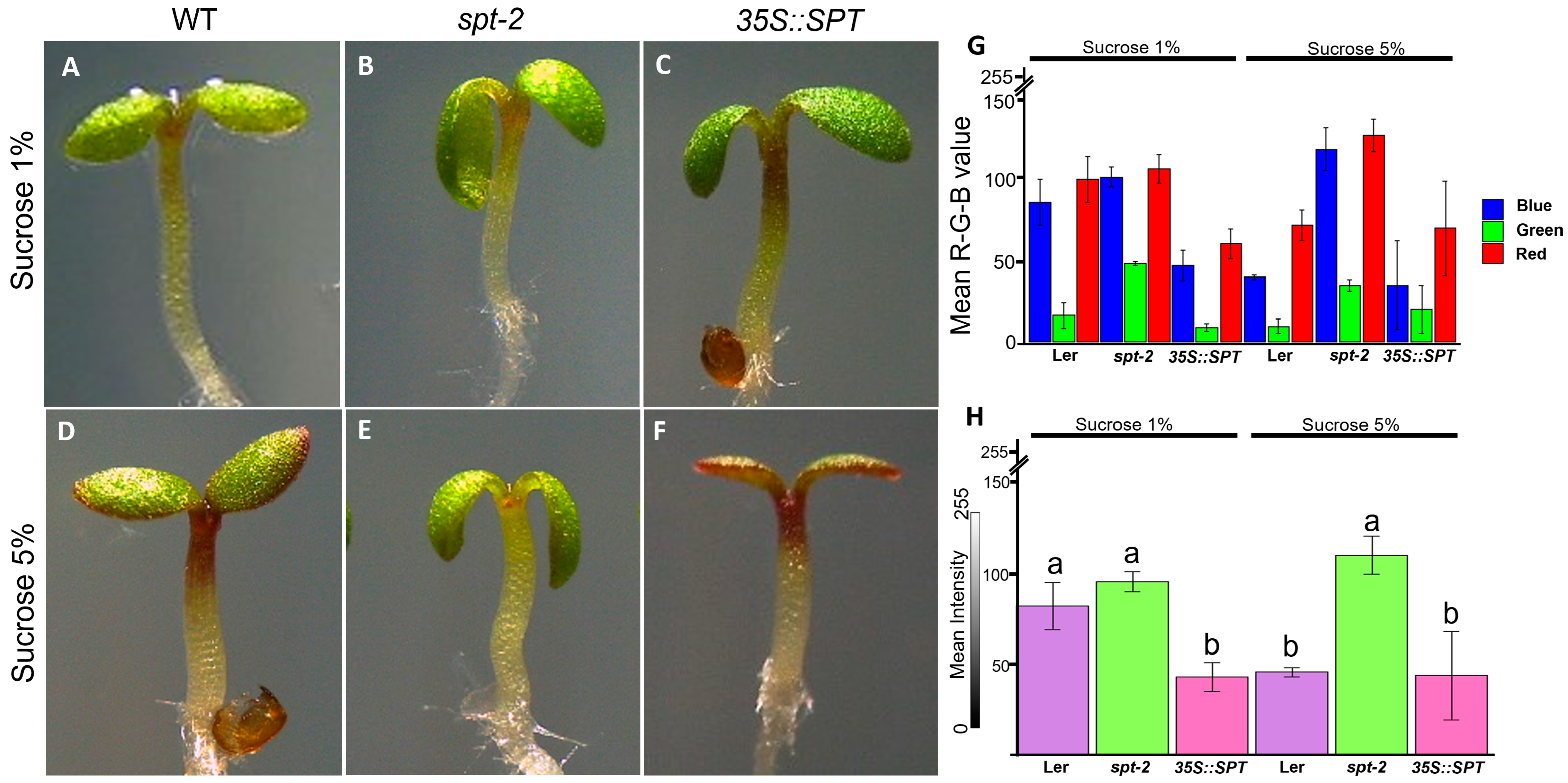 Plants 12 00596 g004