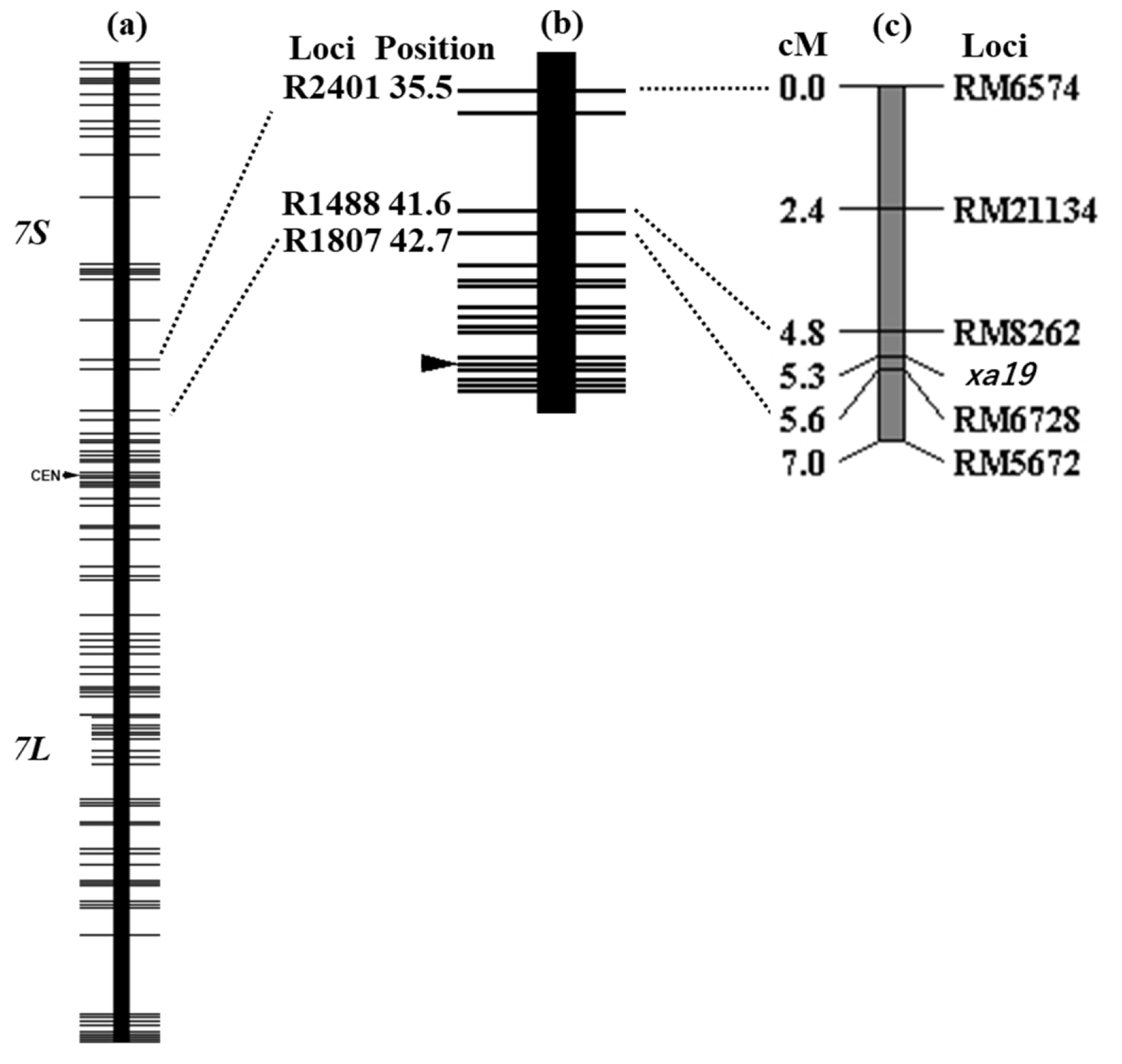 Plants 12 00602 g002 Plants 12 00602 g002