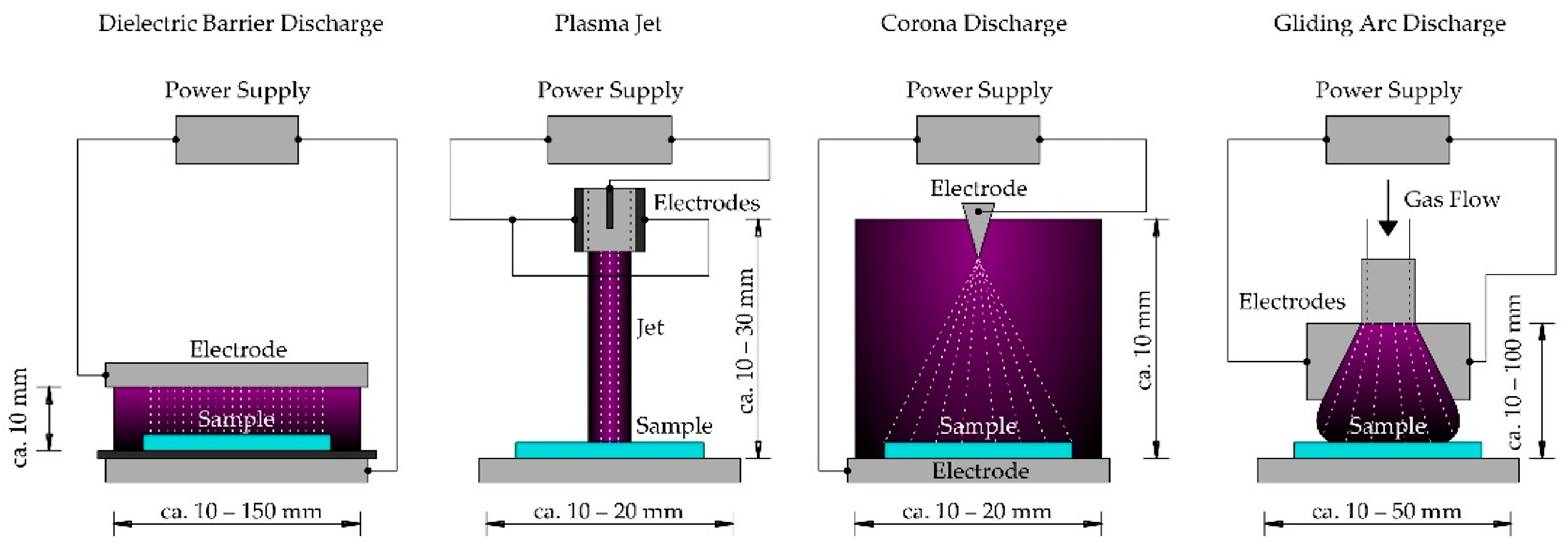 Plants 12 00627 g001