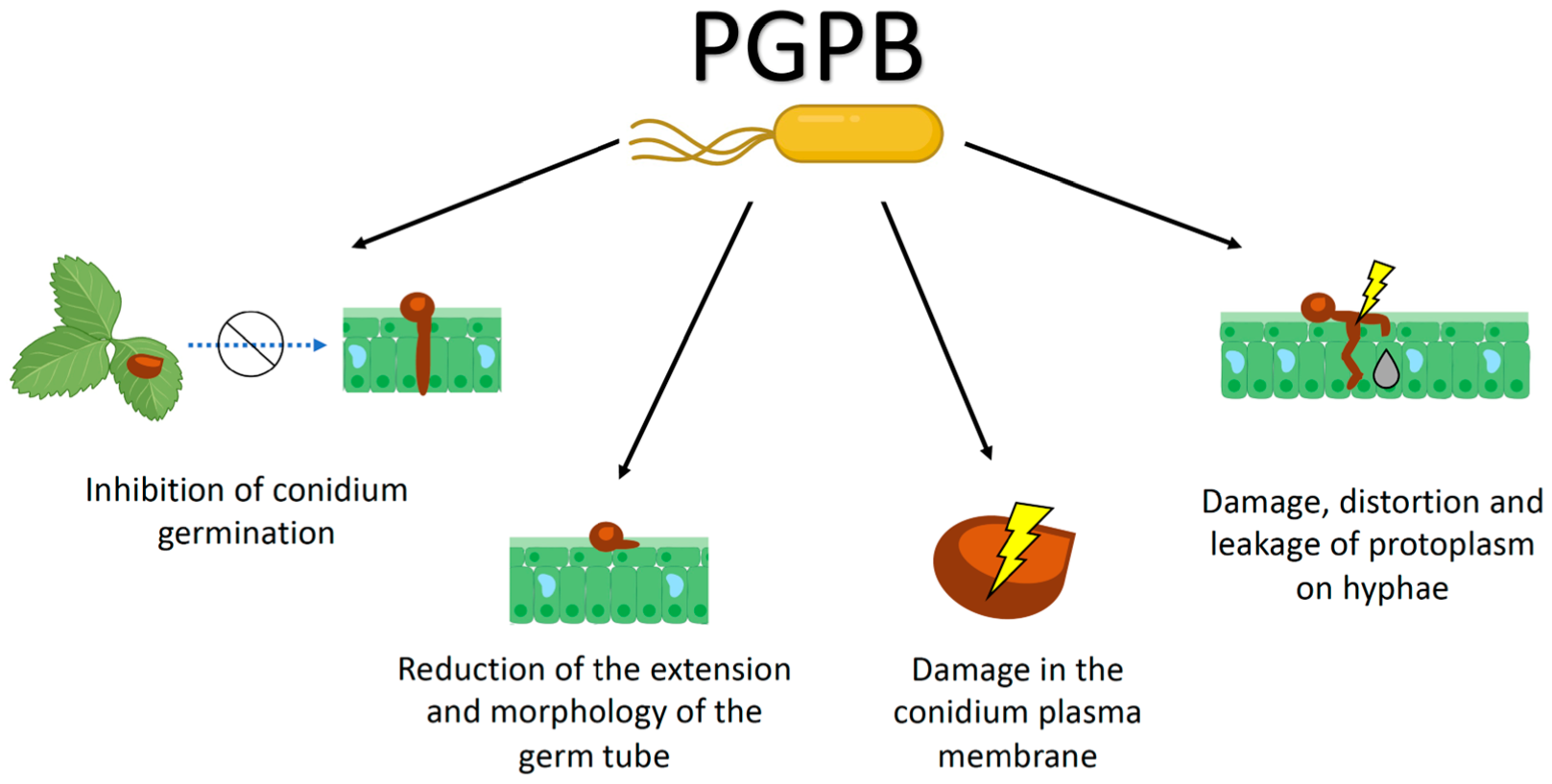 Plants 12 00637 g002