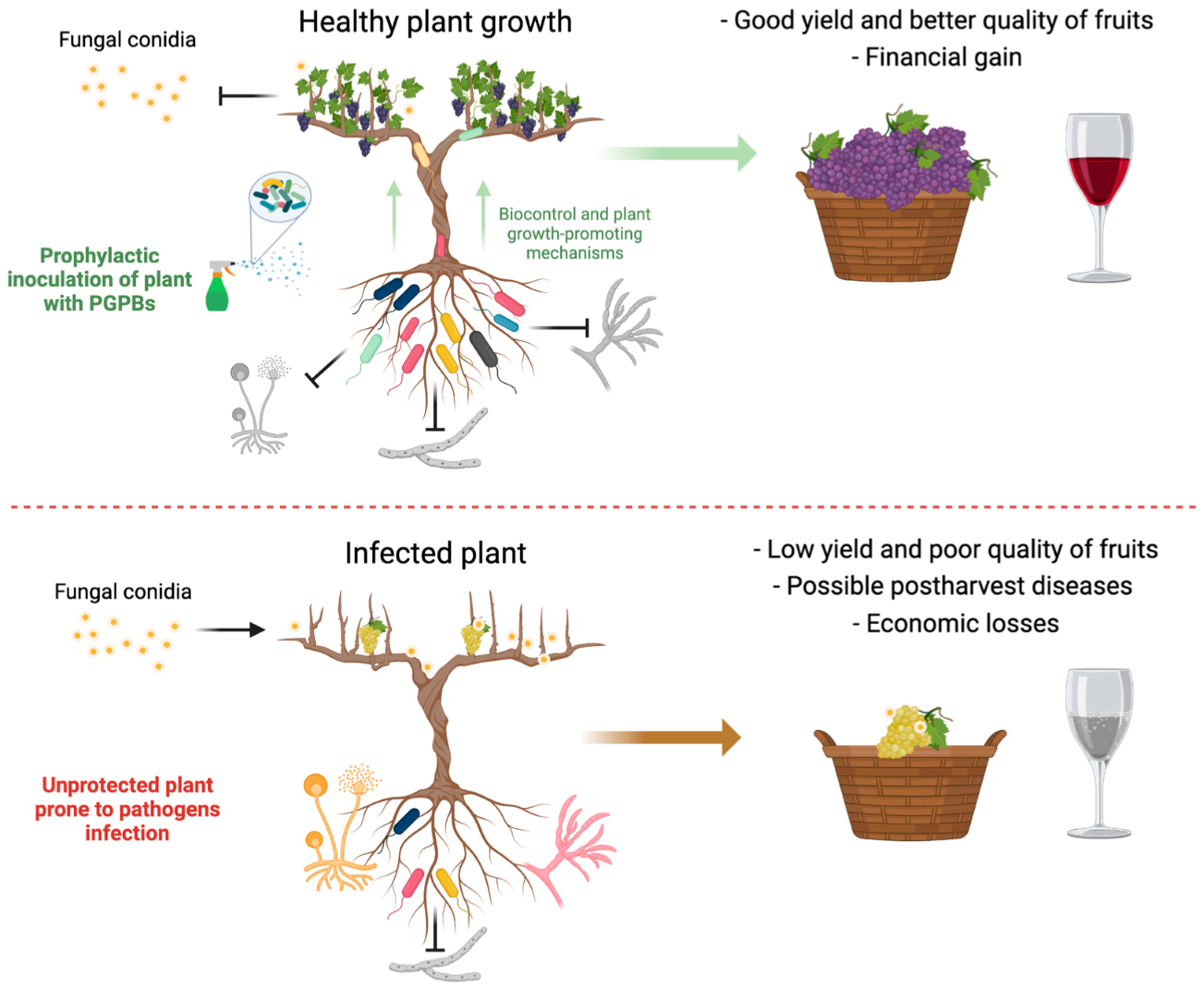 Plants 12 00637 g003