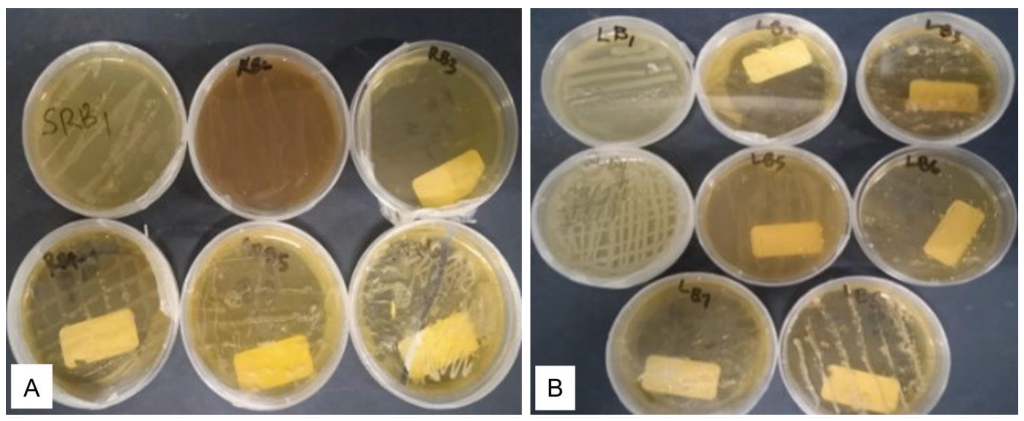 Plants 12 00638 g002