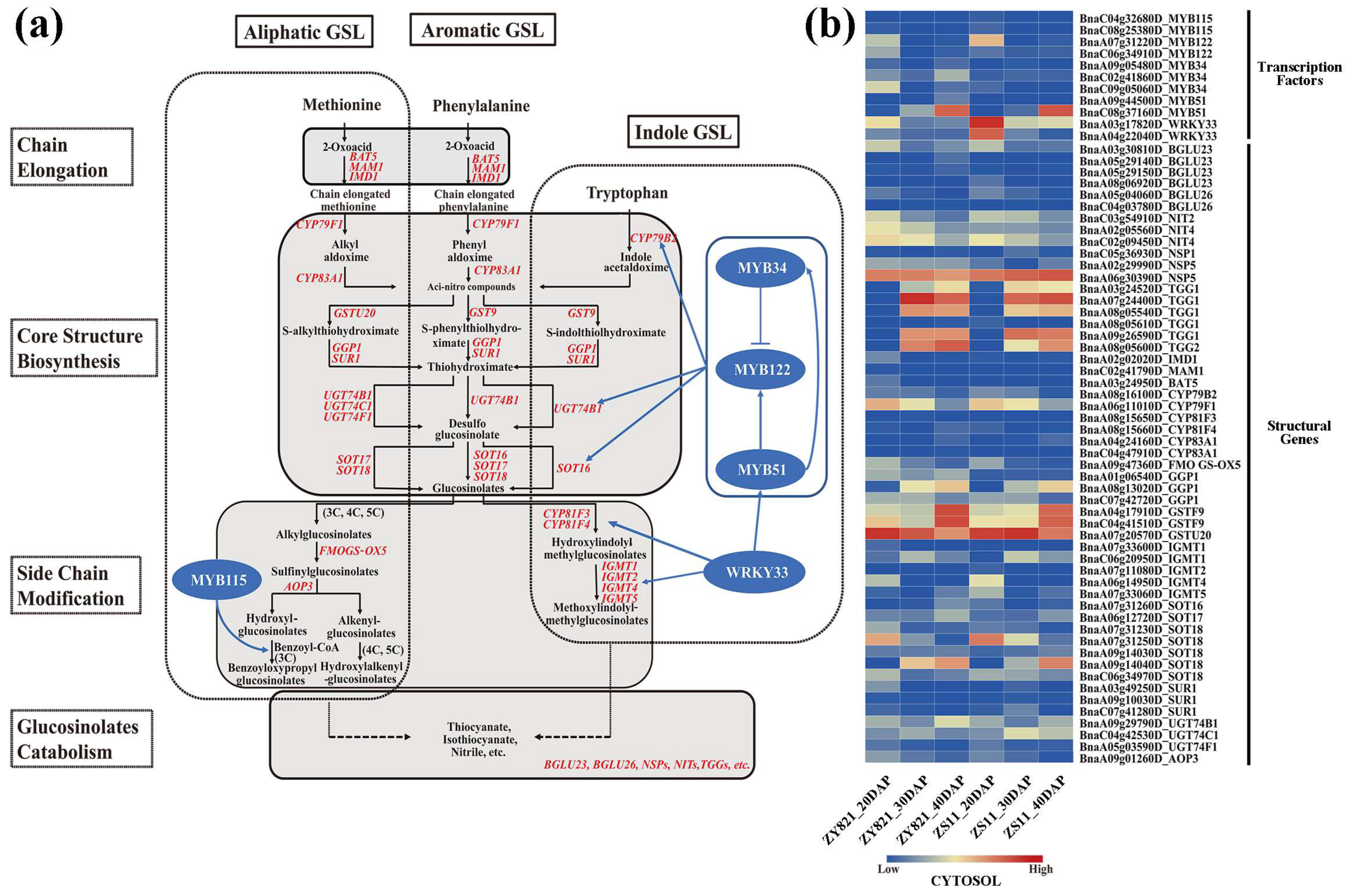 Plants 12 00639 g004