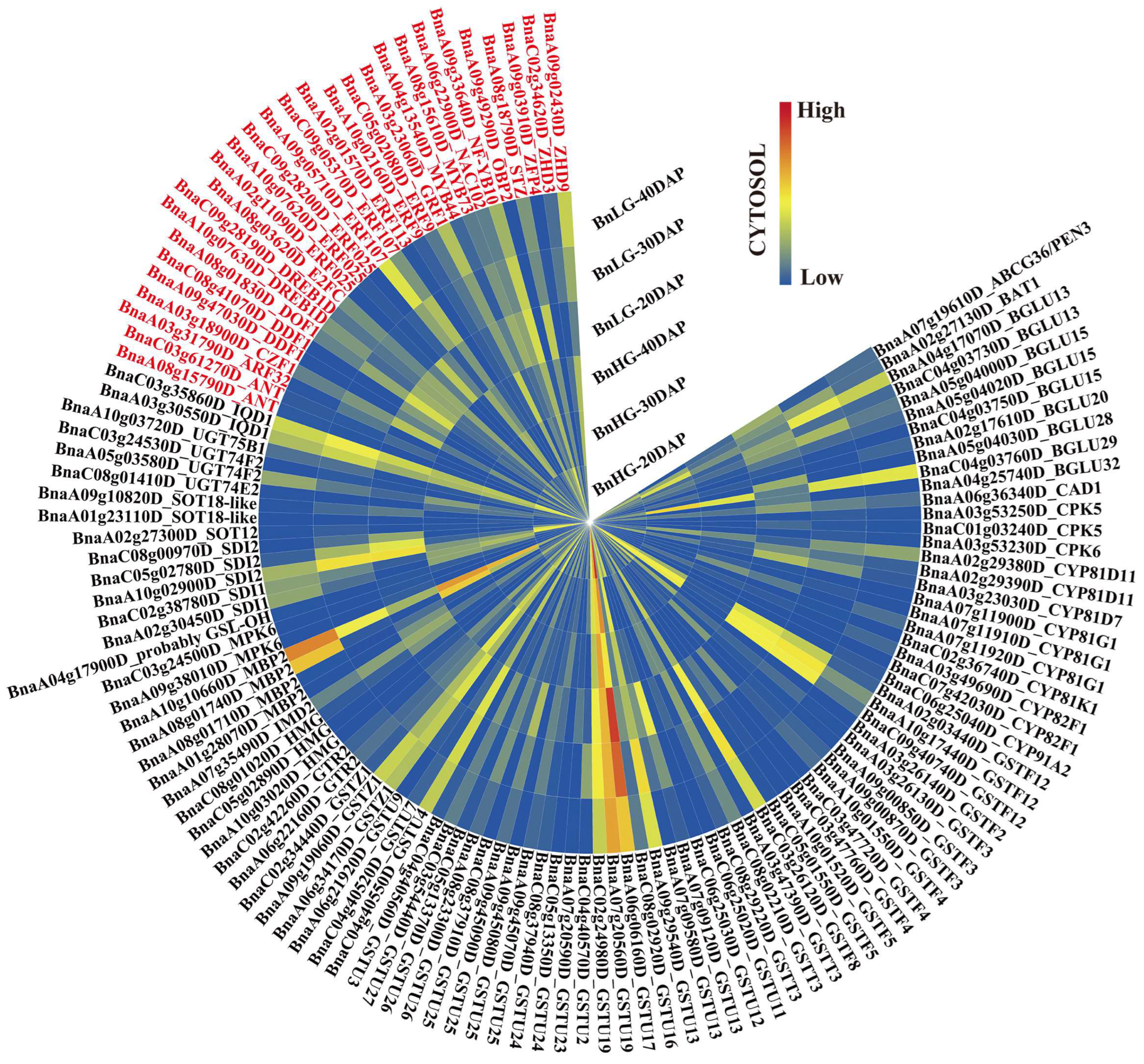 Plants 12 00639 g005