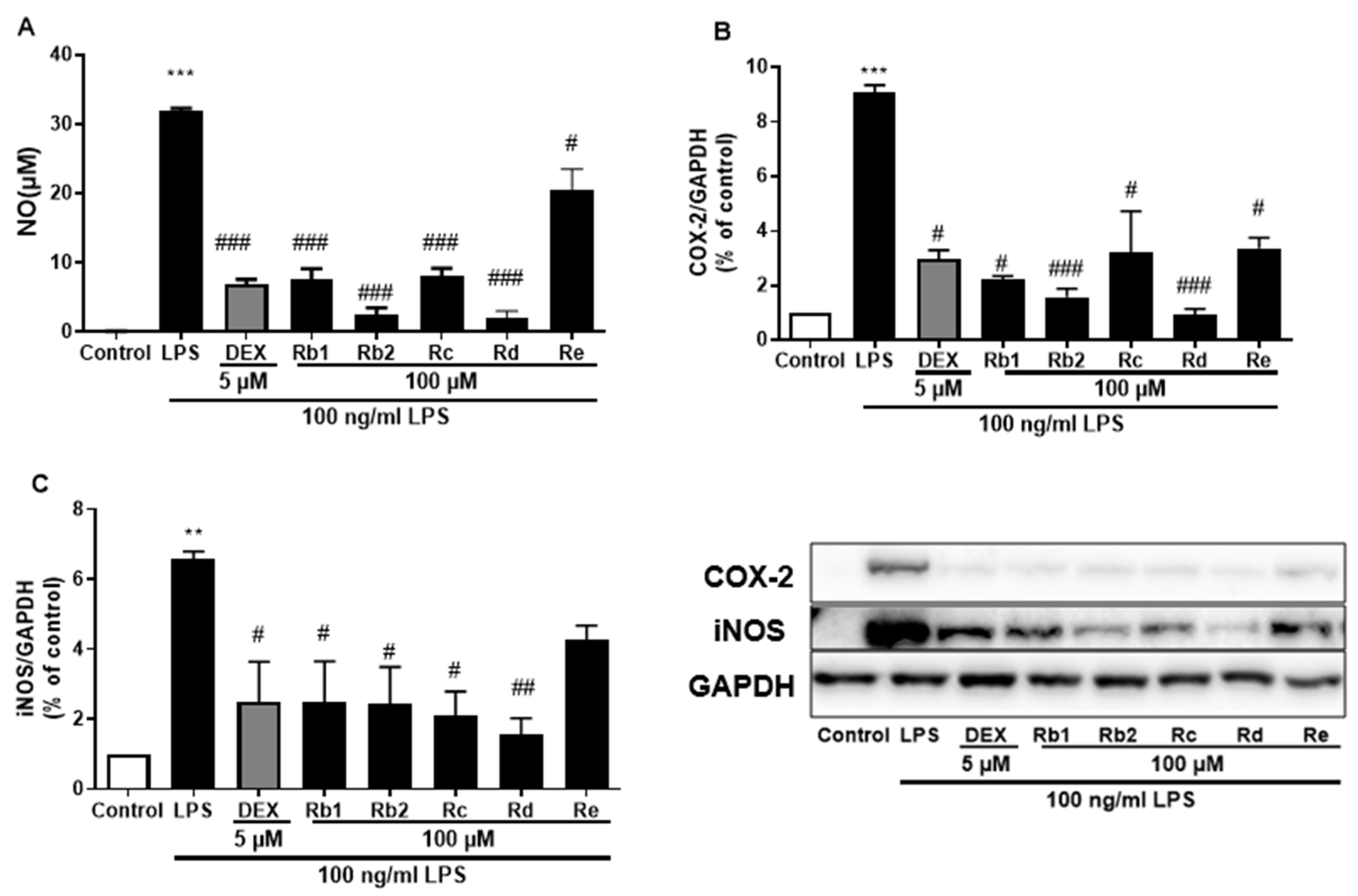 Plants 12 00640 g008
