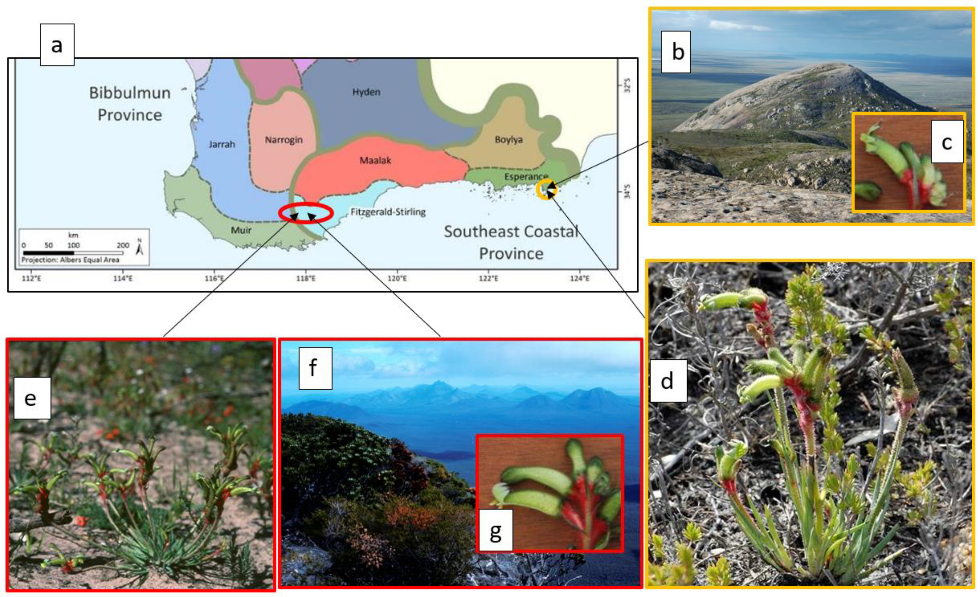 Plants 12 00645 g002 Plants 12 00645 g002