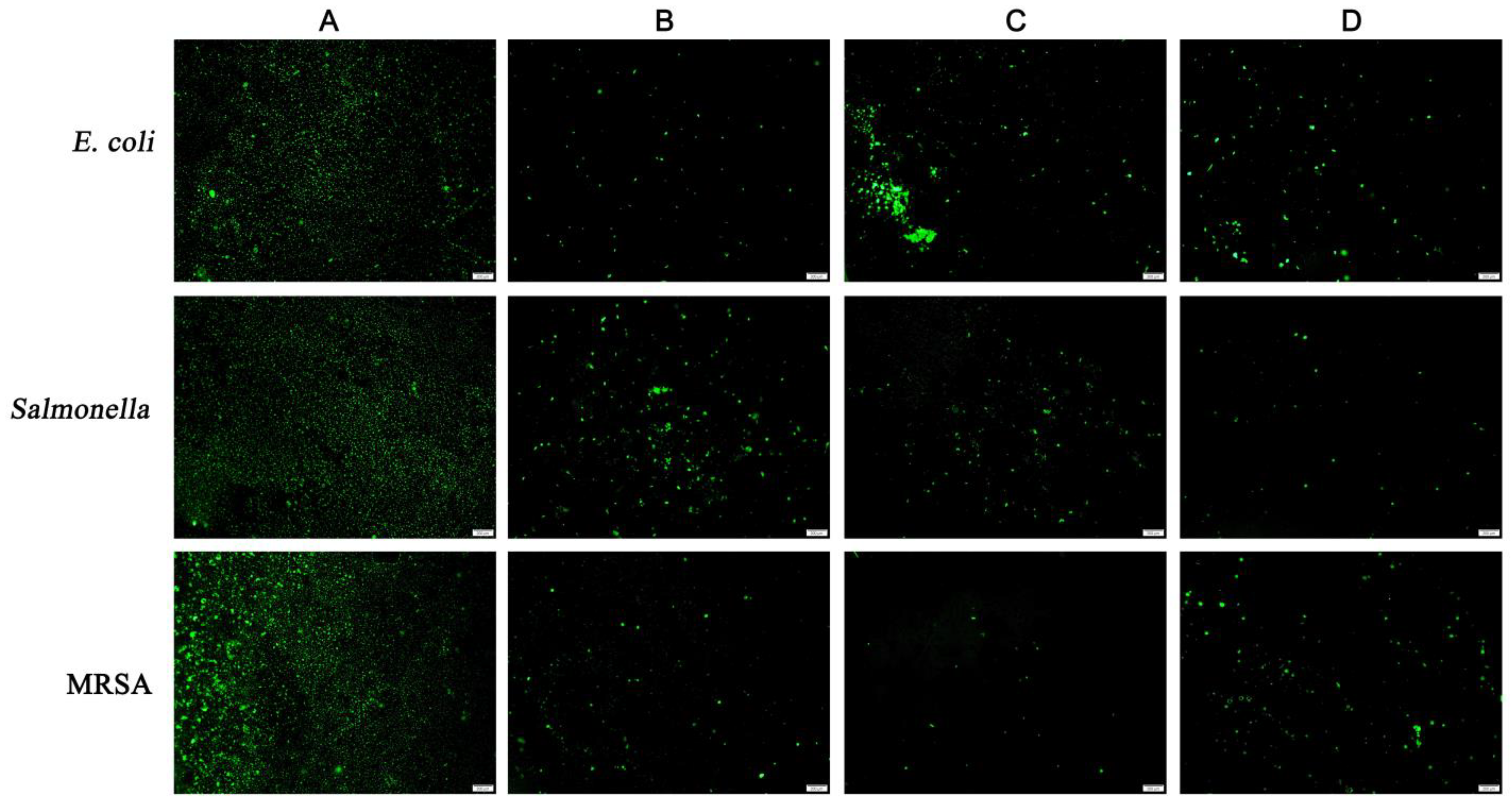 Plants 12 00650 g002 Plants 12 00650 g002