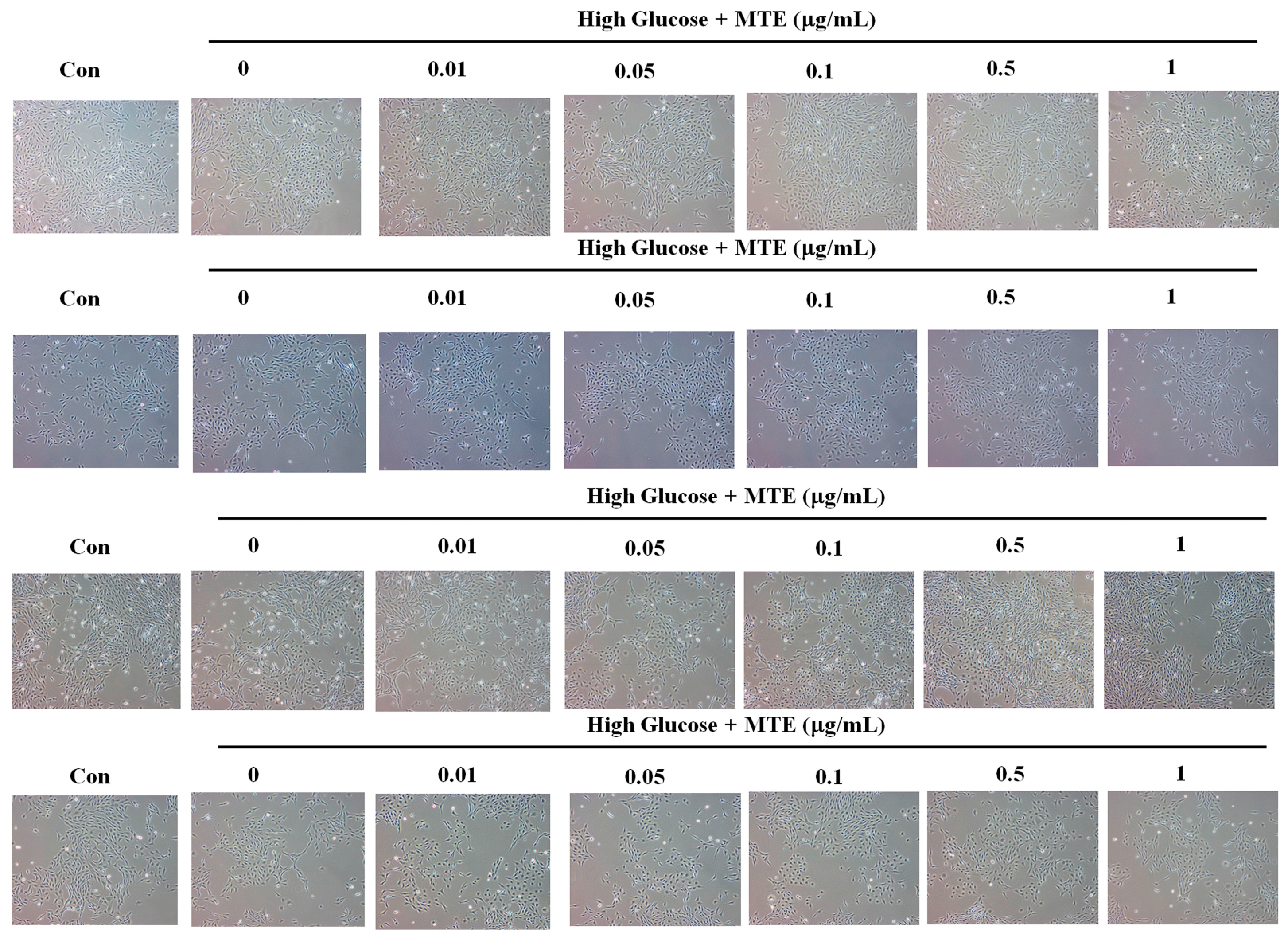 Plants 12 00656 g001