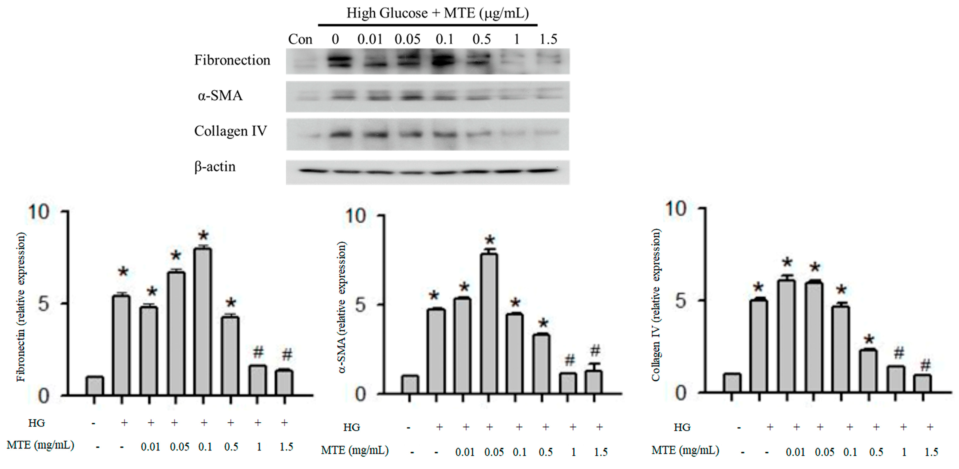 Plants 12 00656 g002