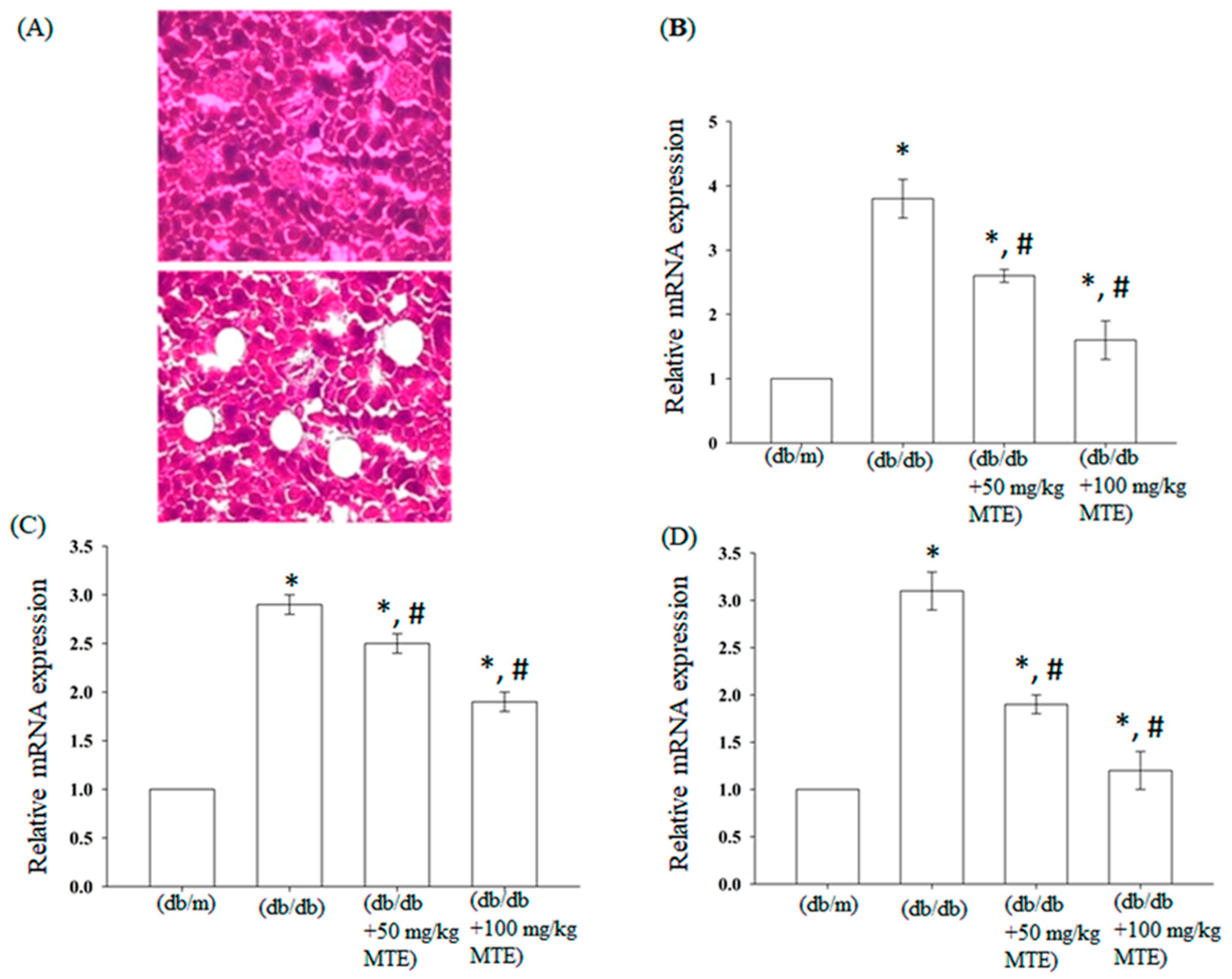 Plants 12 00656 g003